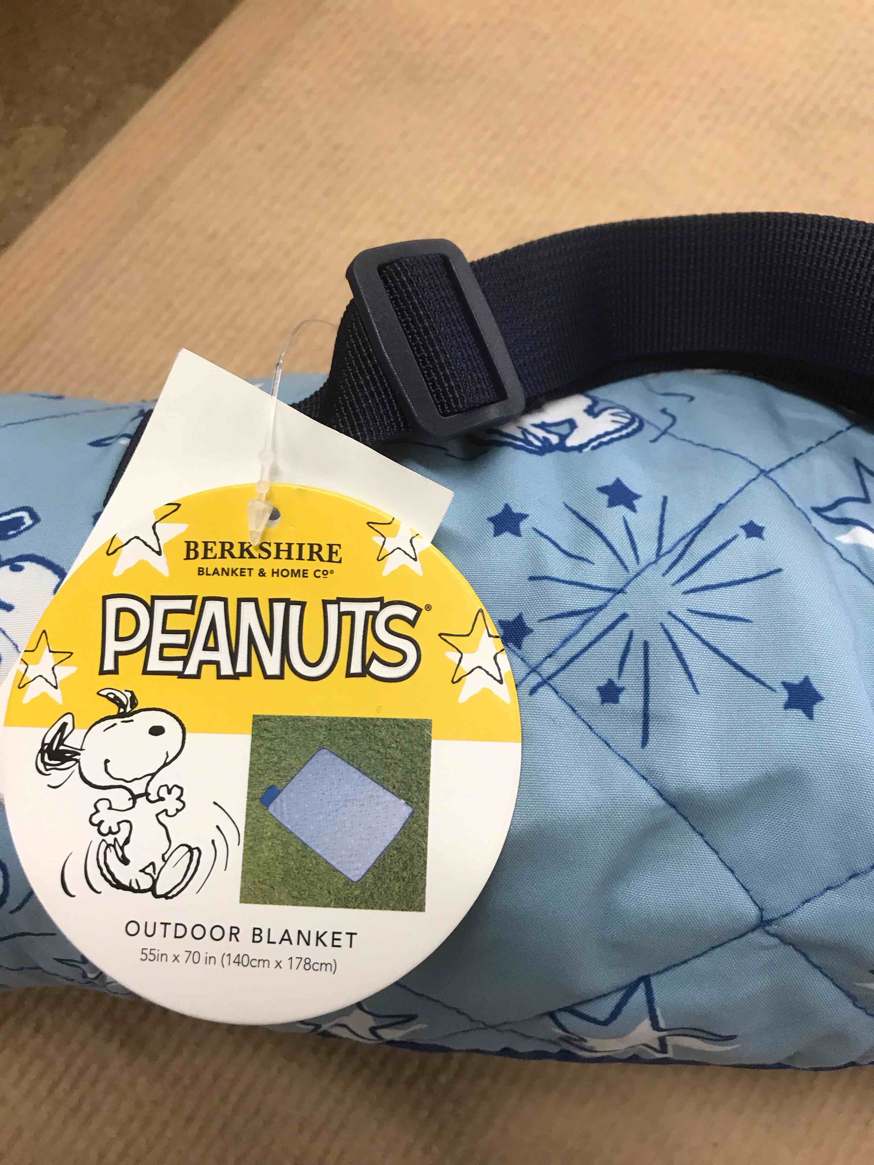 Condition photo showing New/Like New for Outdoor Blanket 