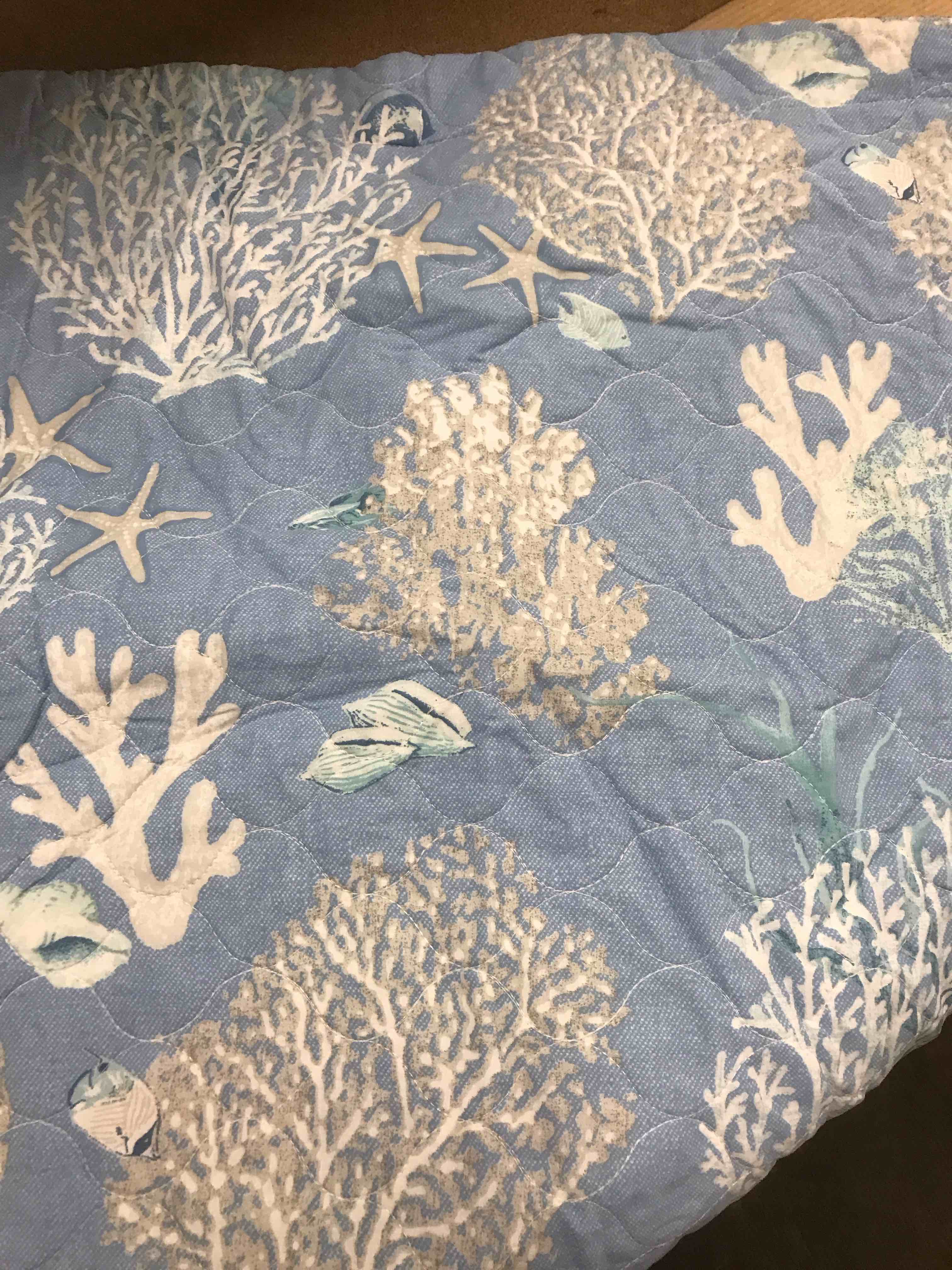 Condition photo showing As Is for King Size Pillow  Shams