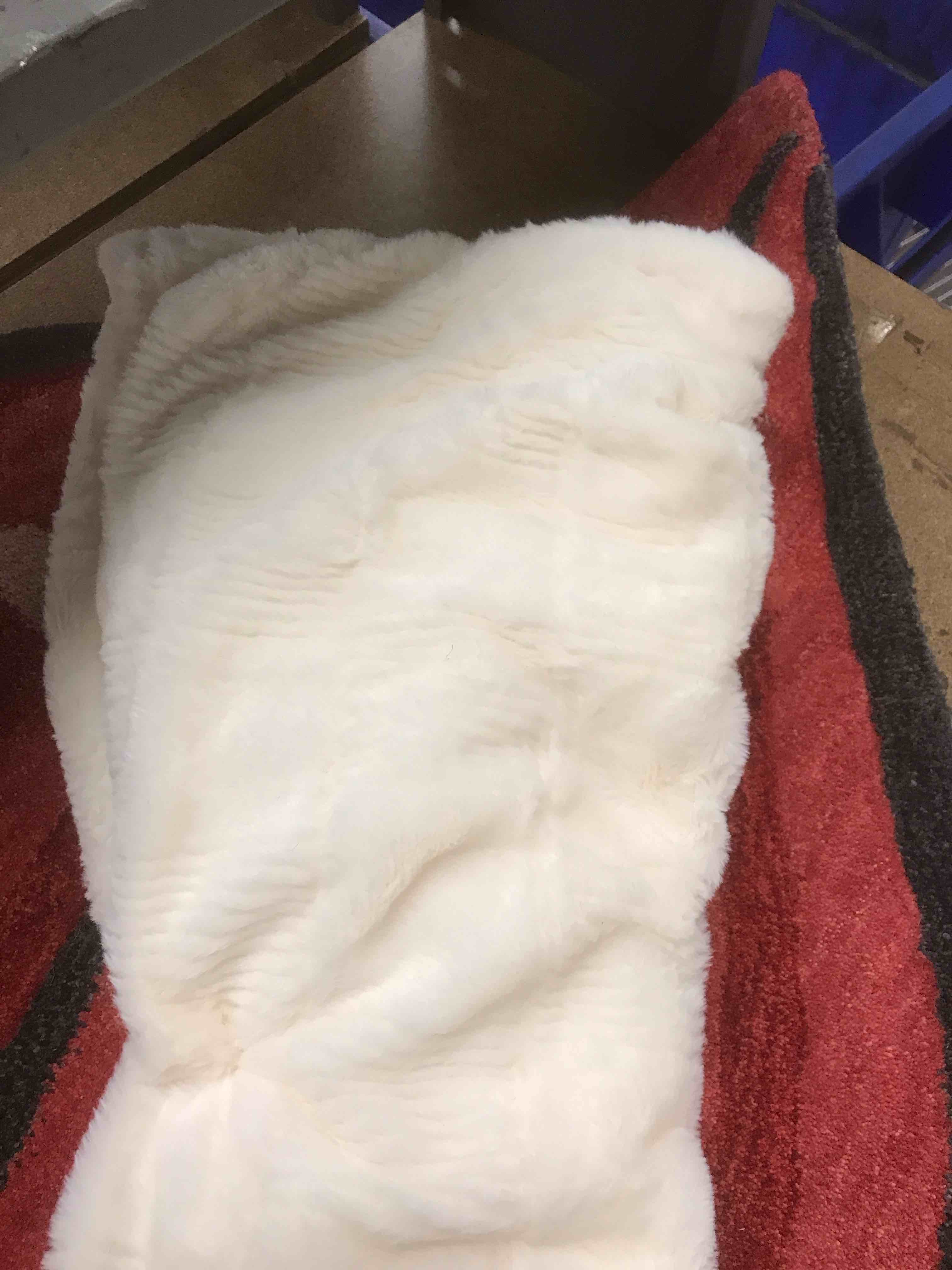 Condition photo showing New/Like New for Rachel Zoe Throw.