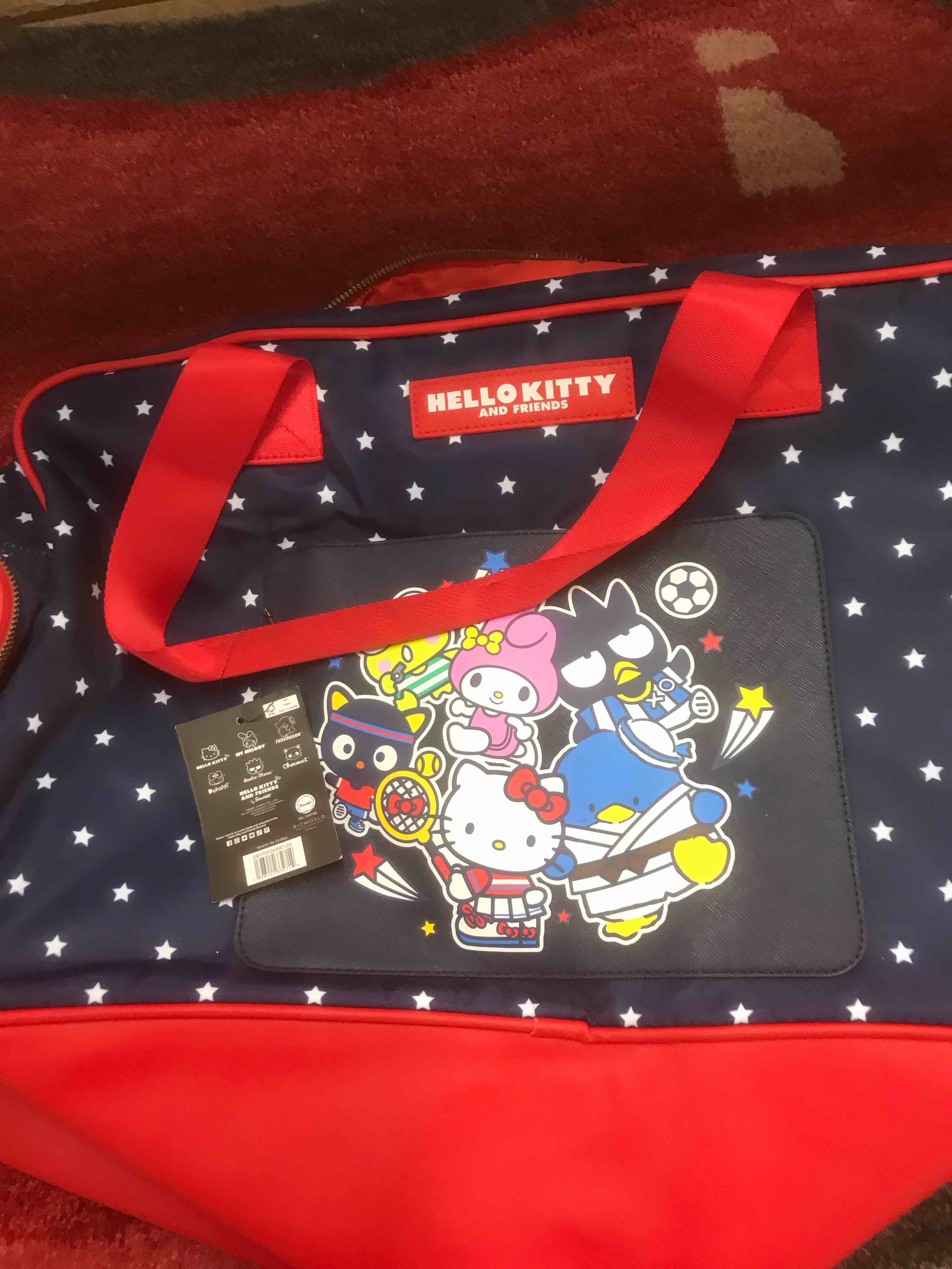 Hello Kitty Bag