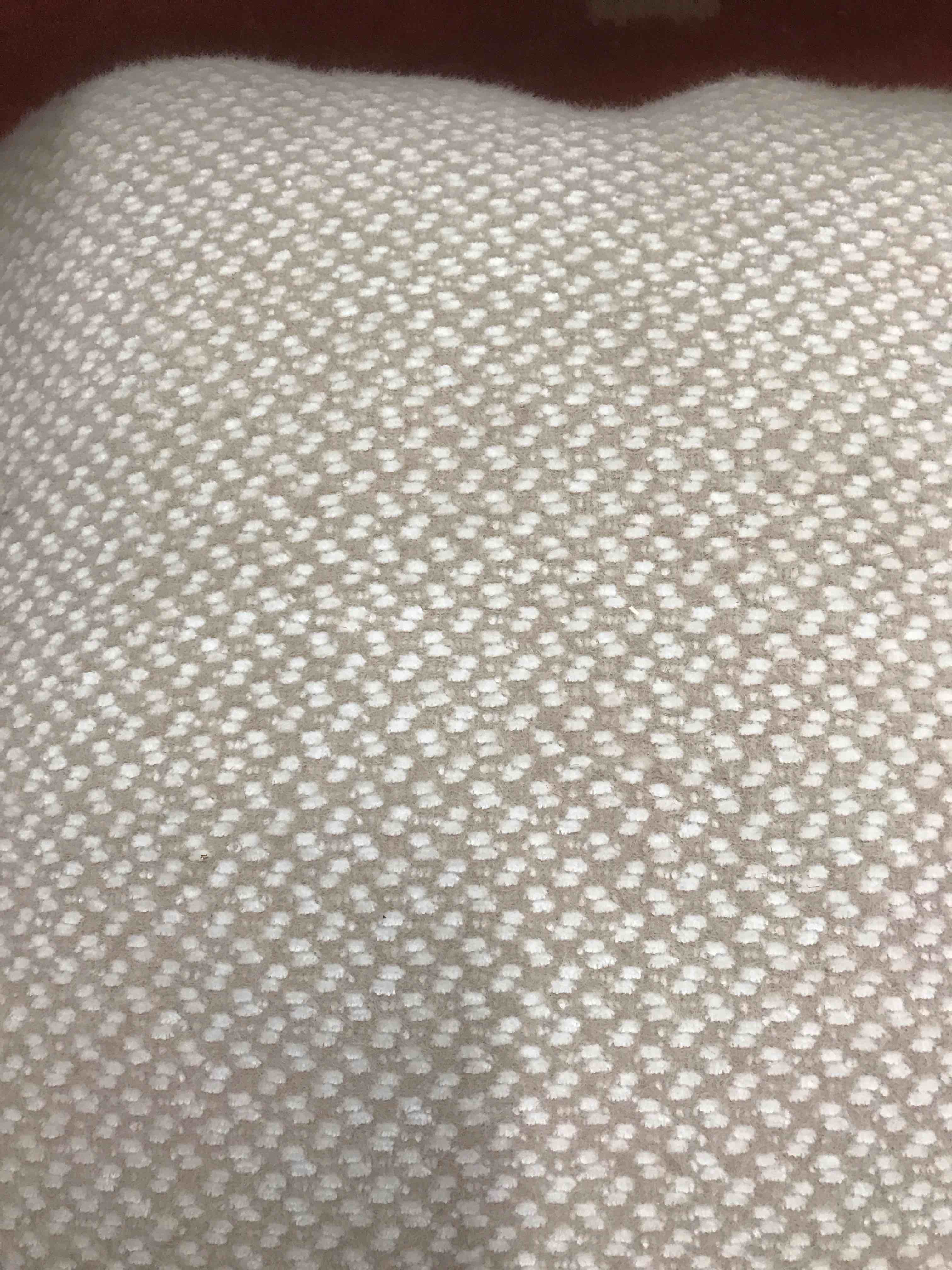 Condition photo showing New/Like New for Throw Pillow