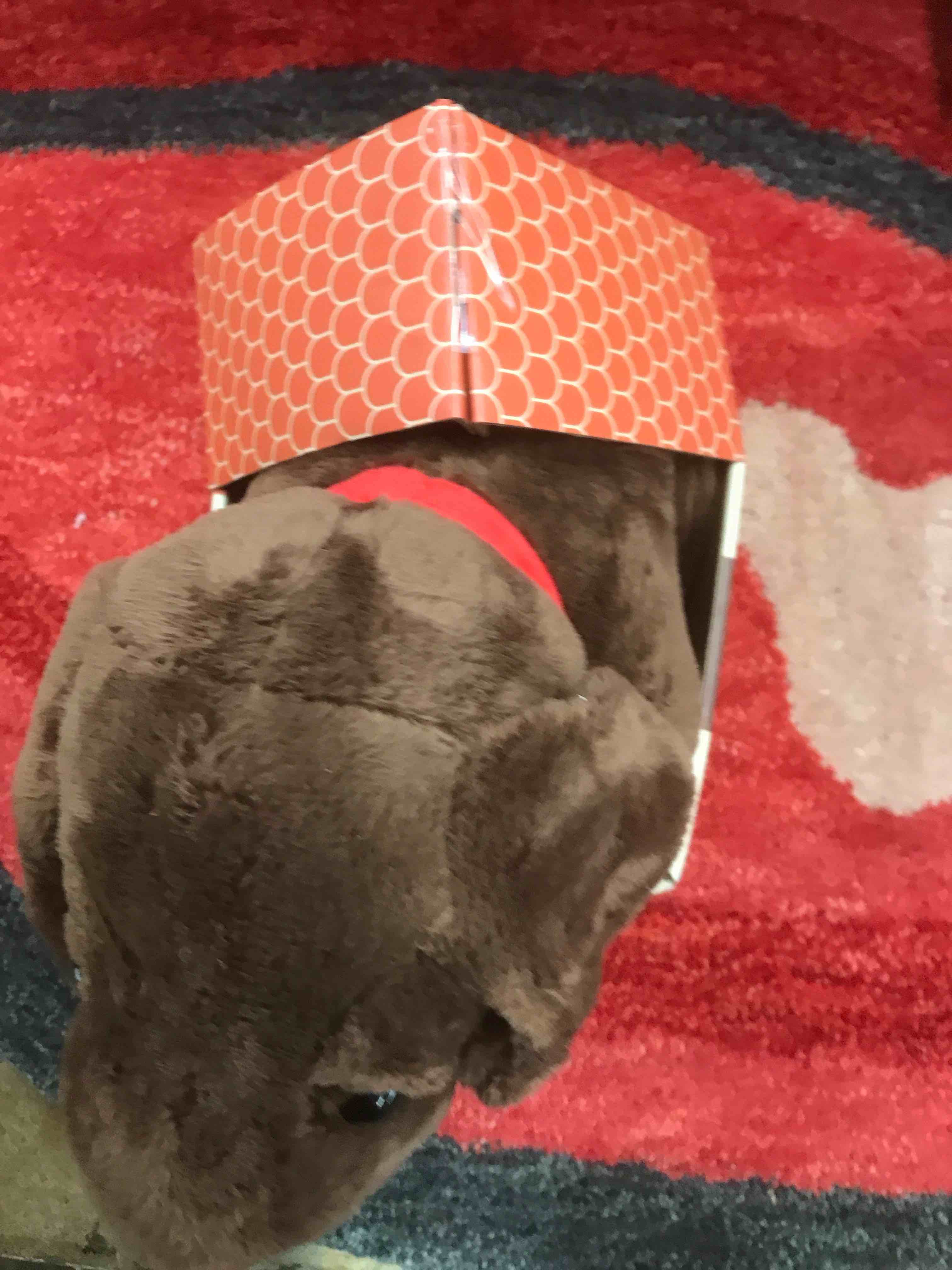 Huggable Labrador Cuddle and Calm