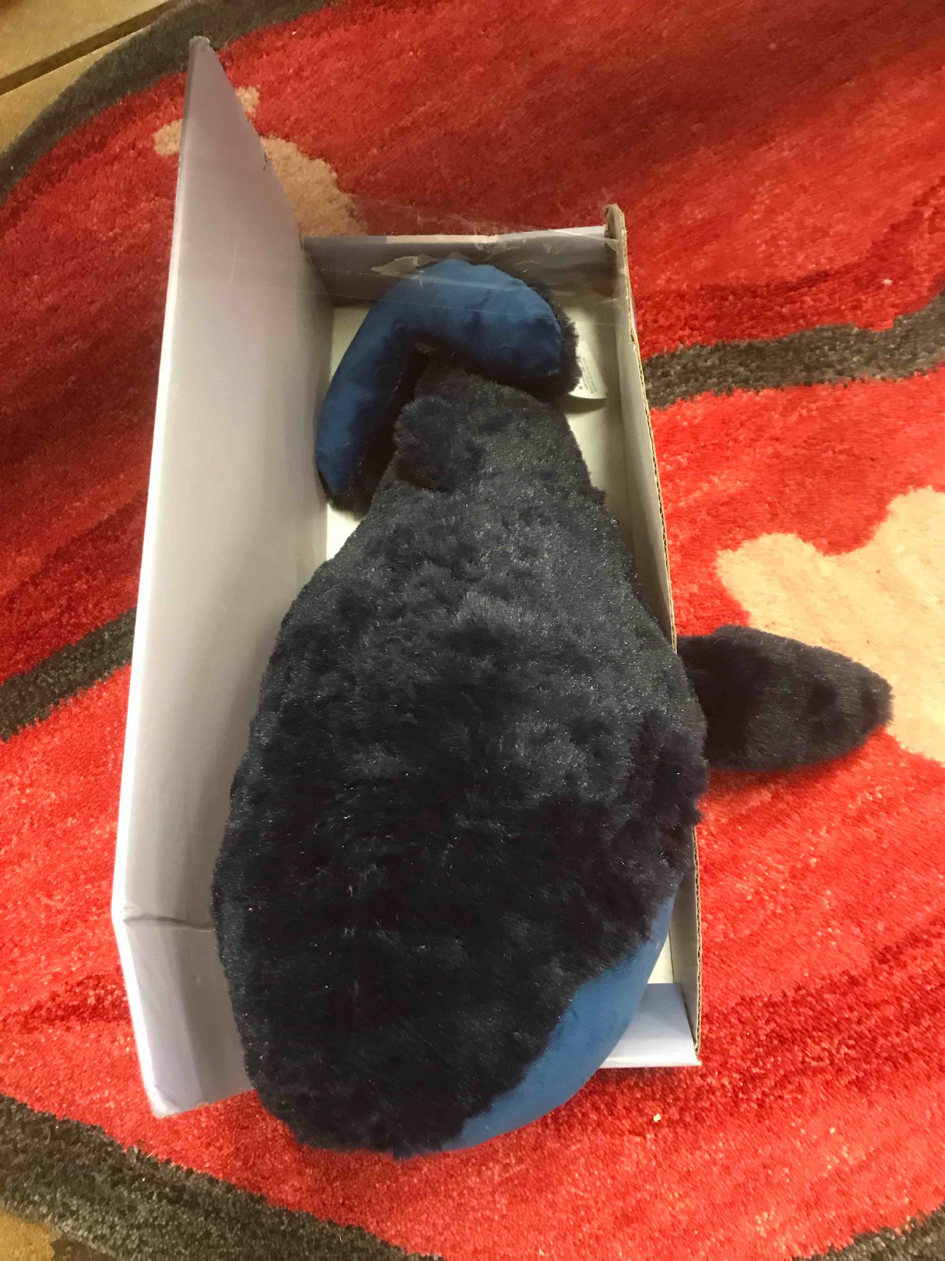 Huggable Whale Cuddle and Calm