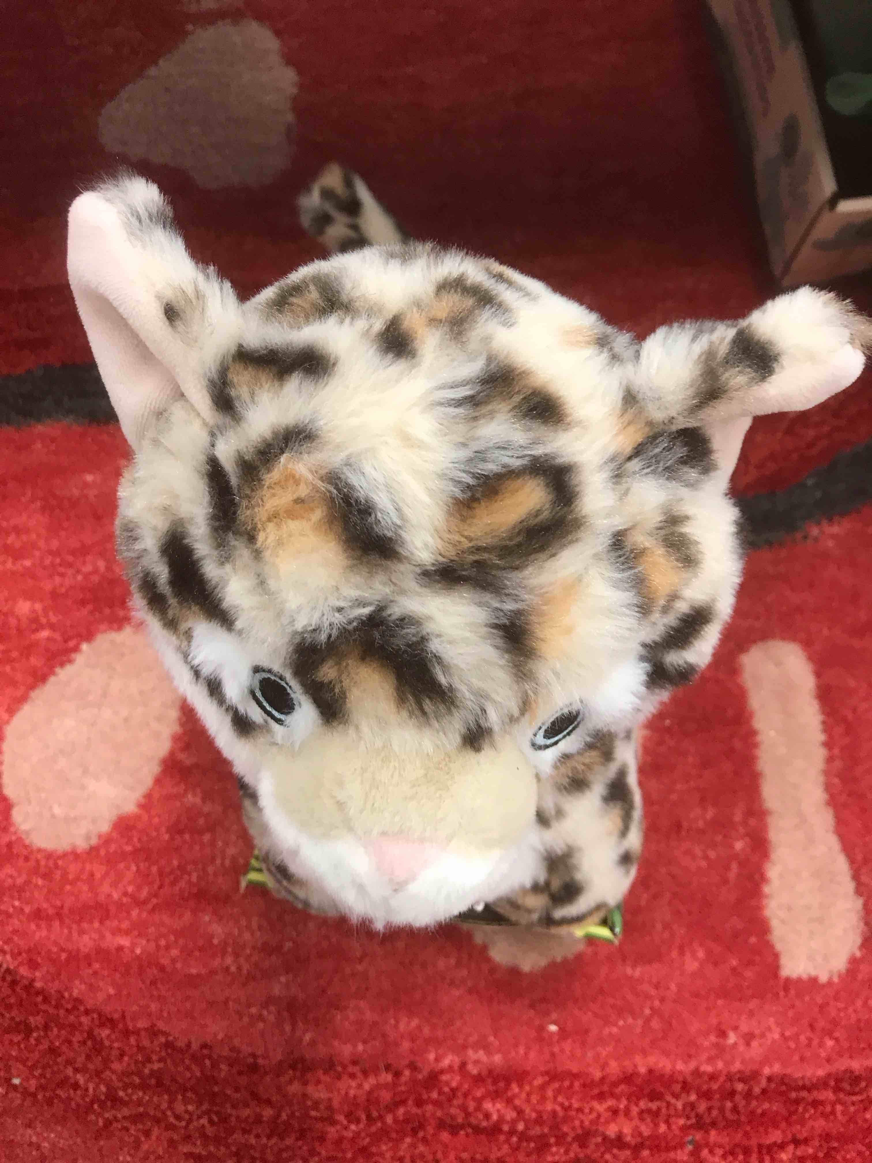 Bengal Cat Weighted Snug Bug