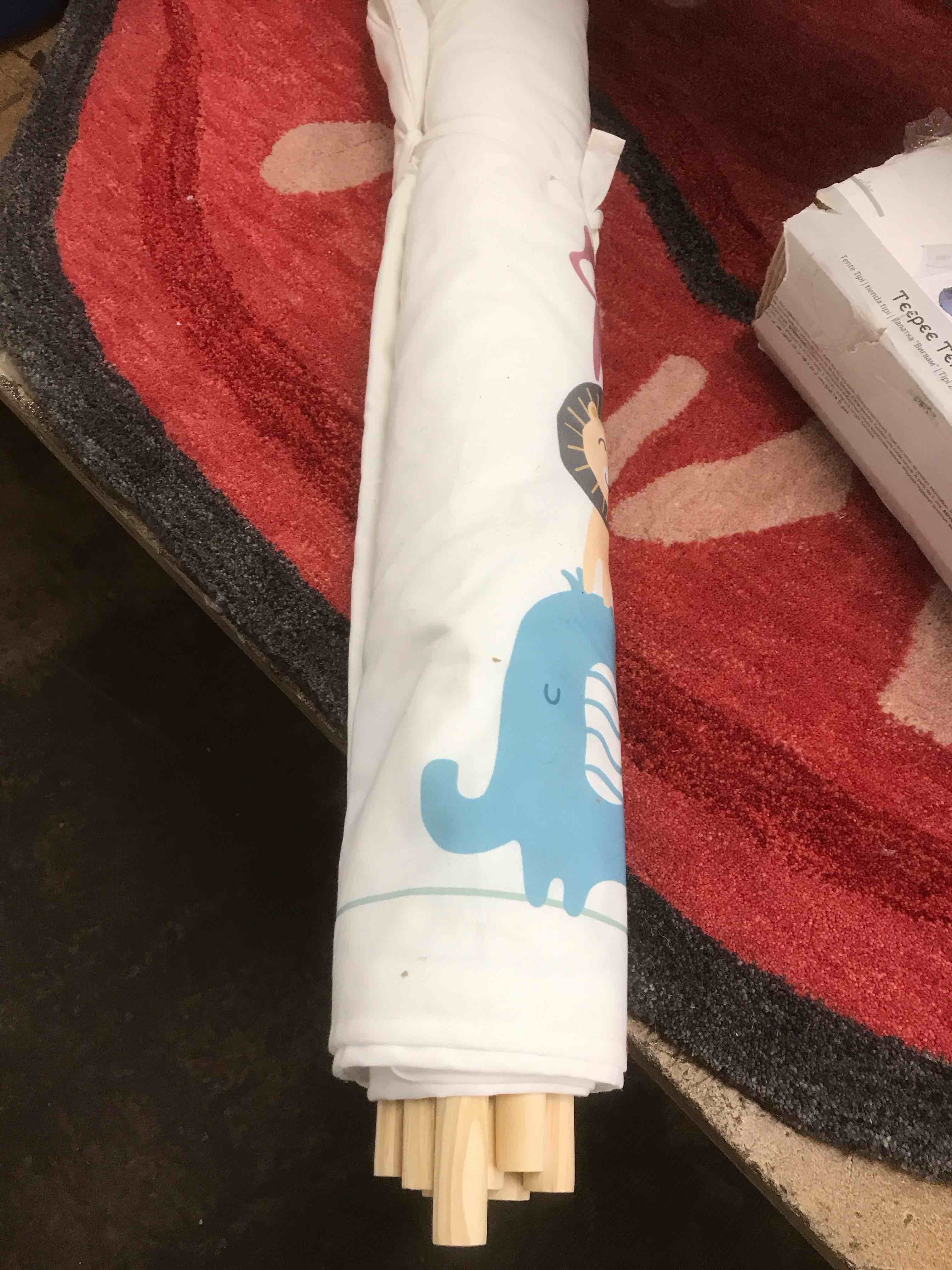 Condition photo showing As Is for Teepee Tent