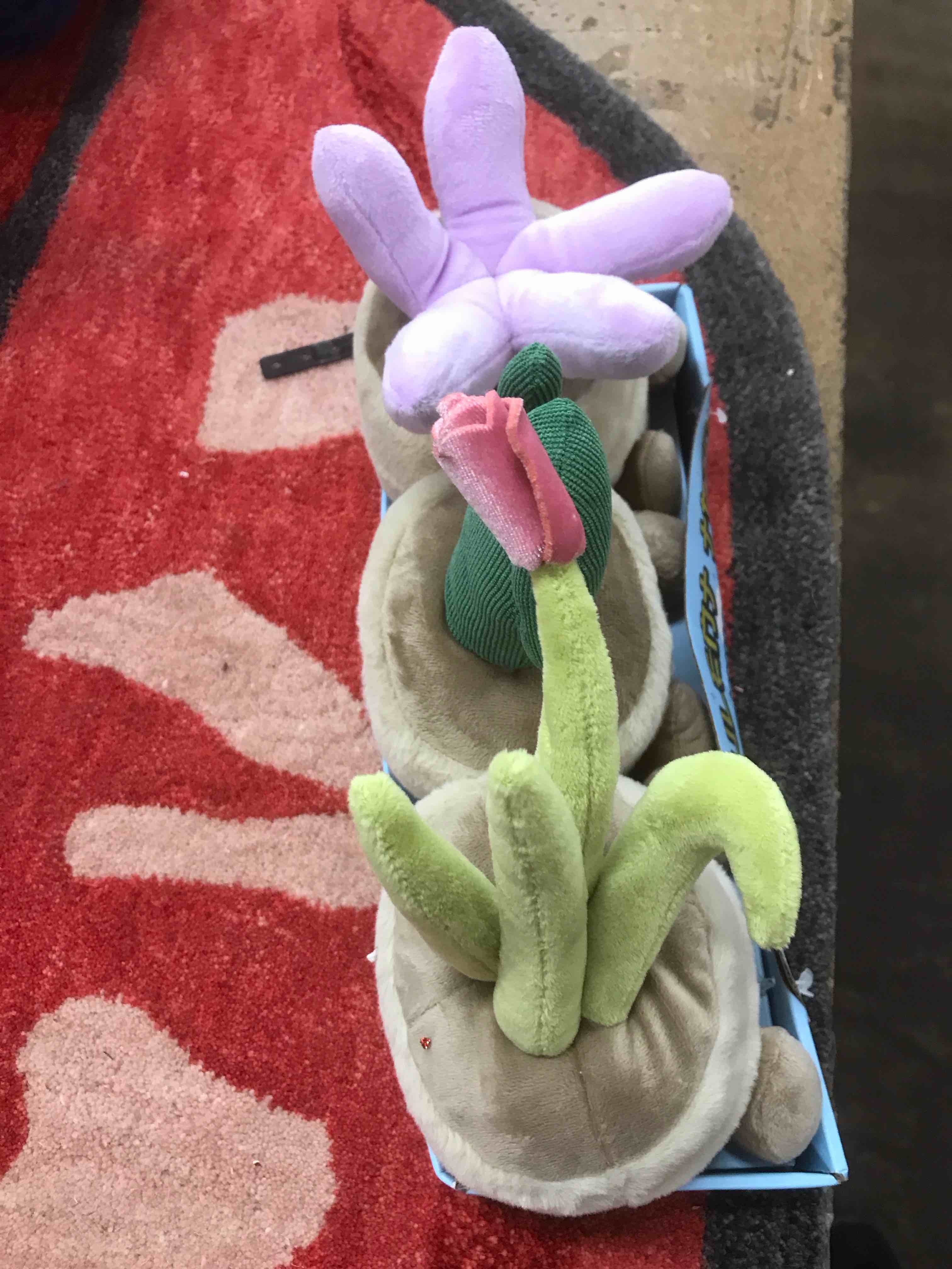 Condition photo showing New/Like New for Succulent Trio Weighted Snug Buds