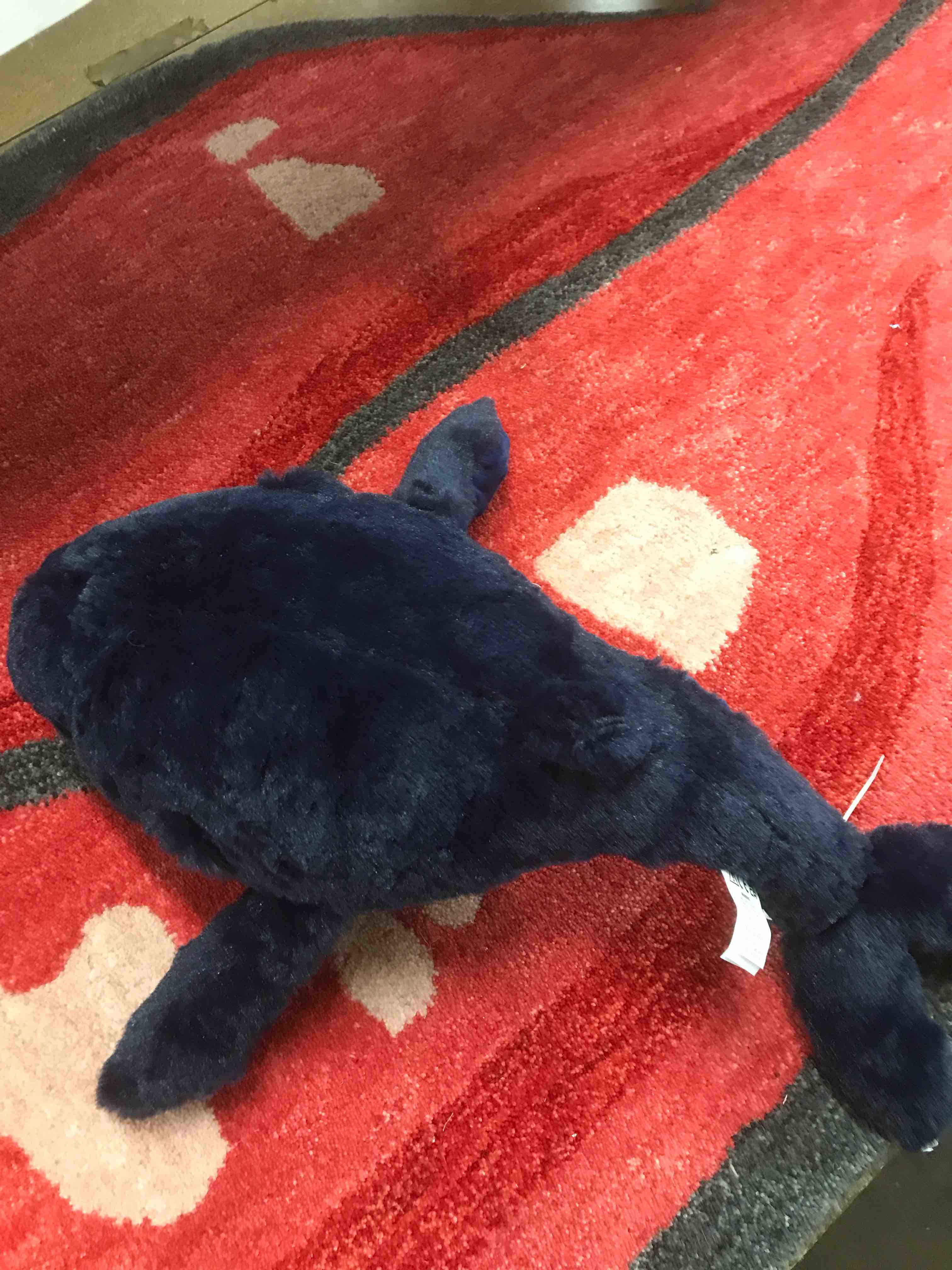 Condition photo showing Good Condition for Weighted Whale Snug Bud