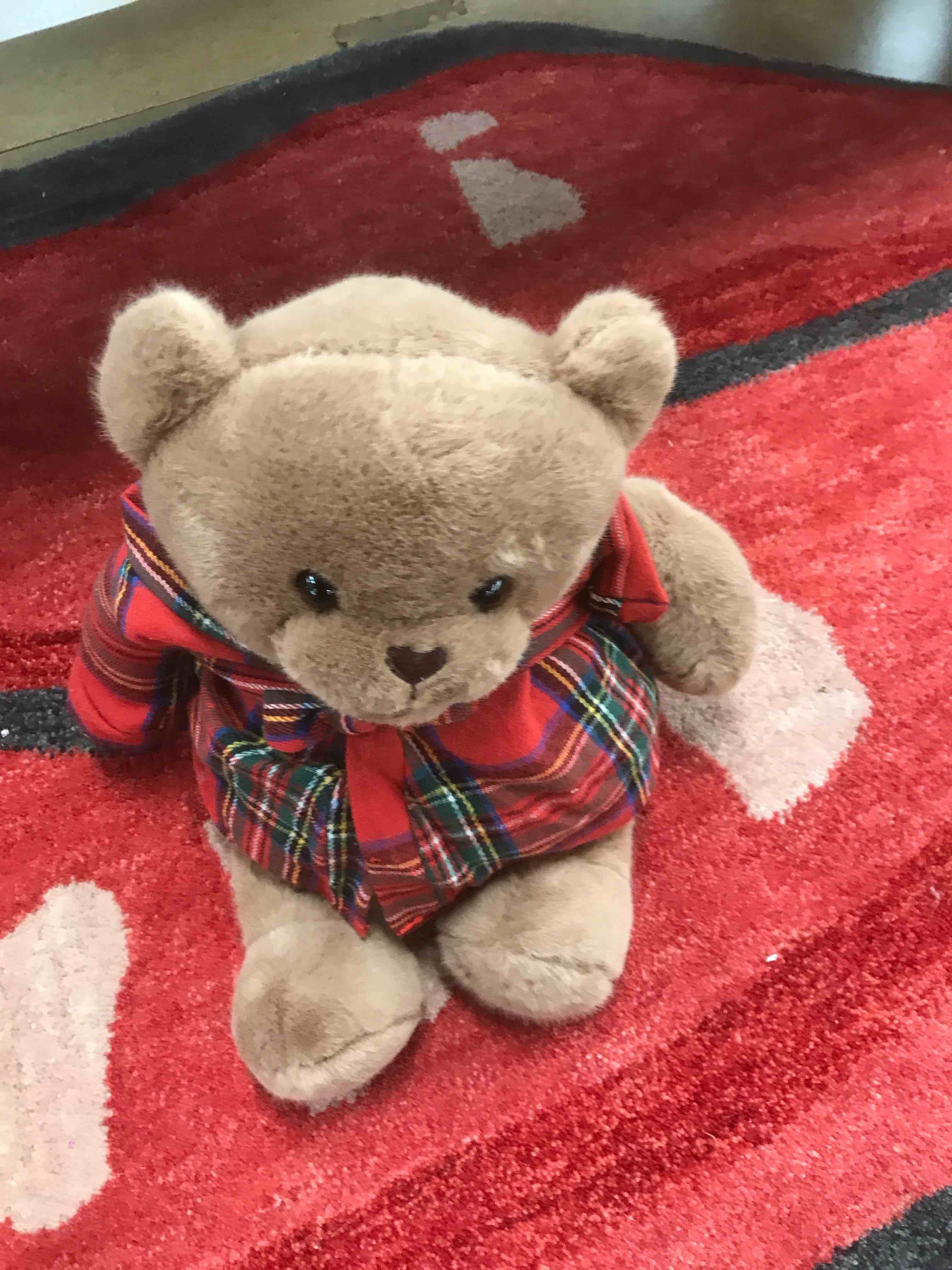 Weighted Bear Snug Bud