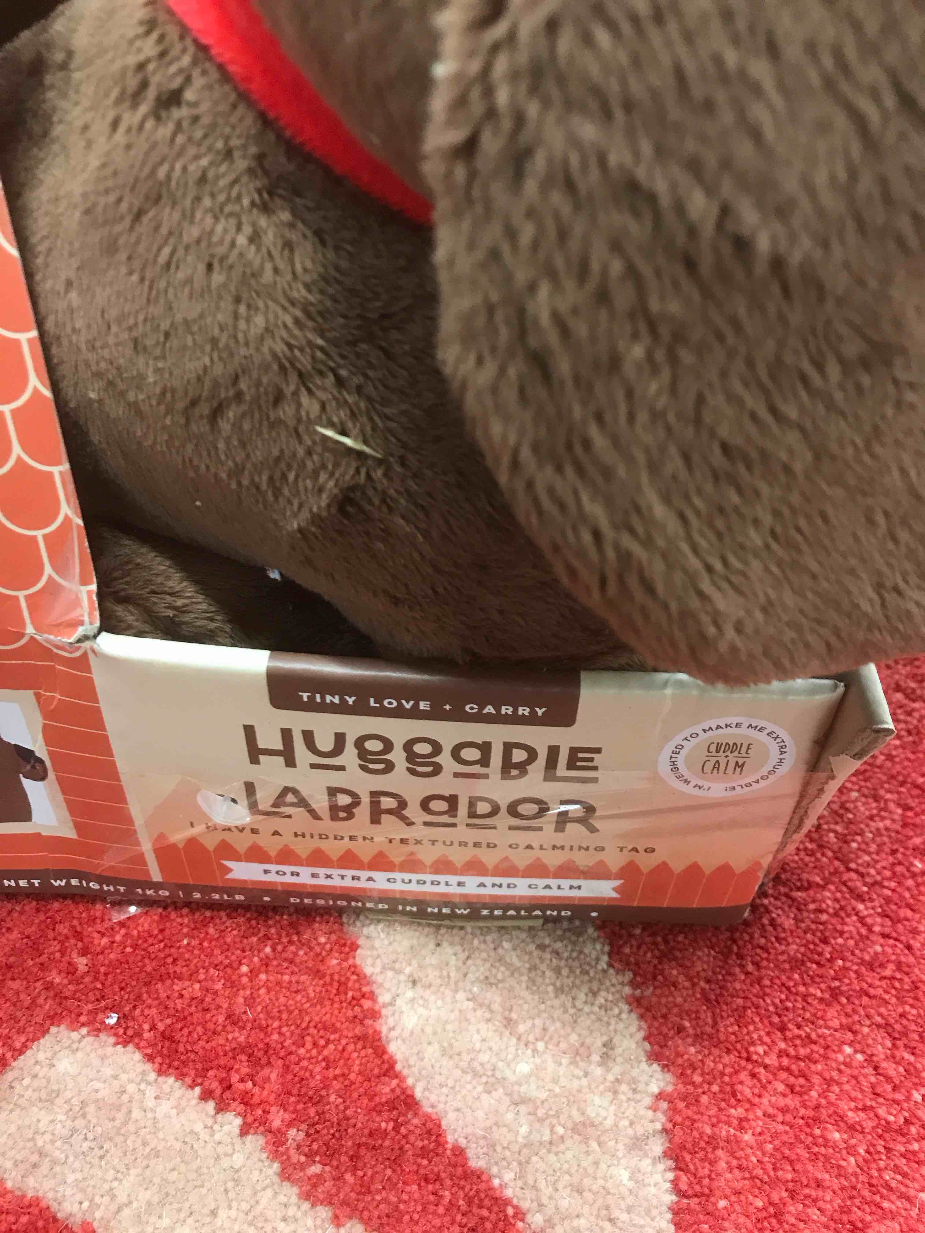 Condition photo showing Good Condition for Huggable Labrador Cuddle and Calm