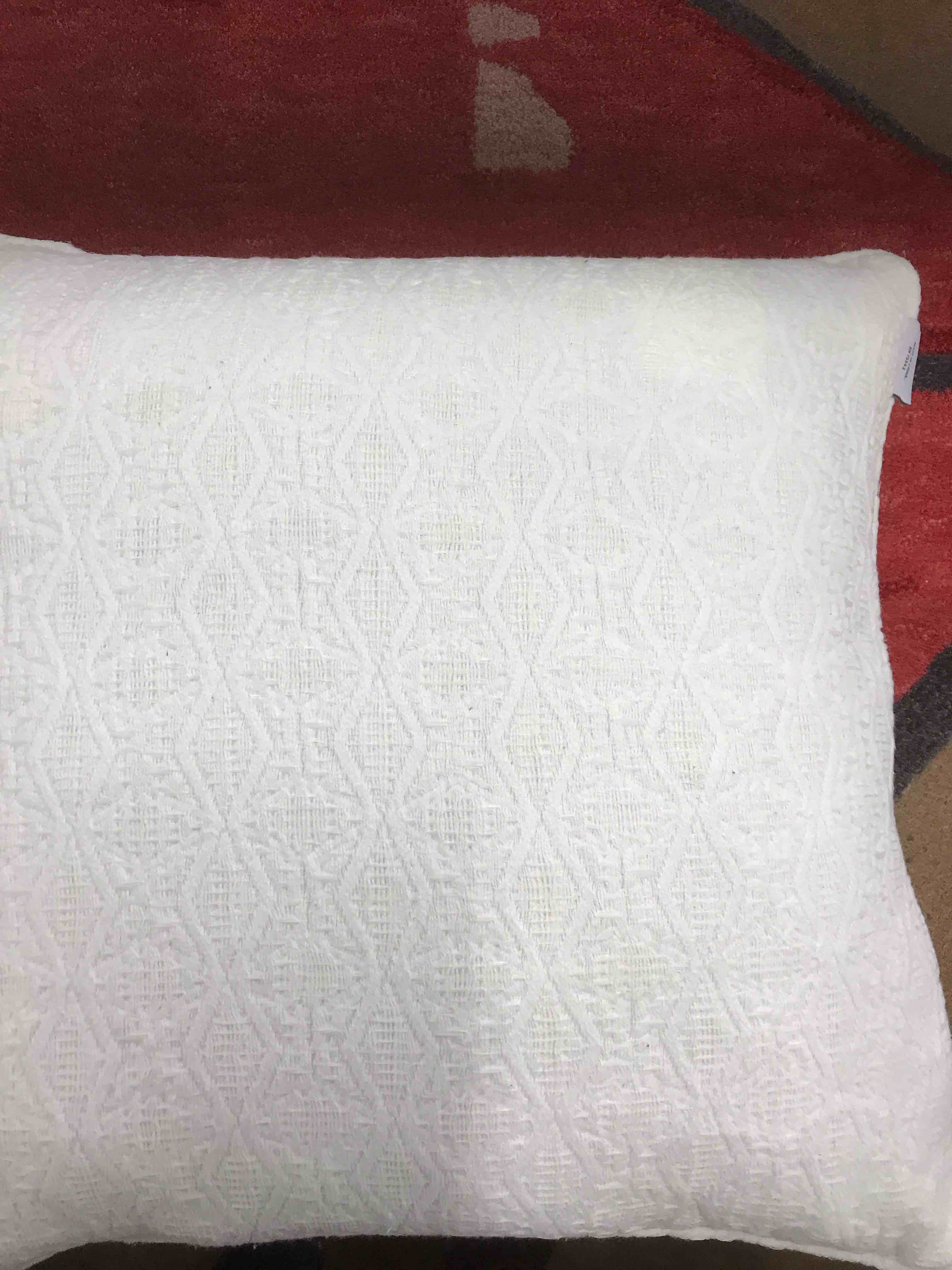 Aphorism Large Decorative Pillow