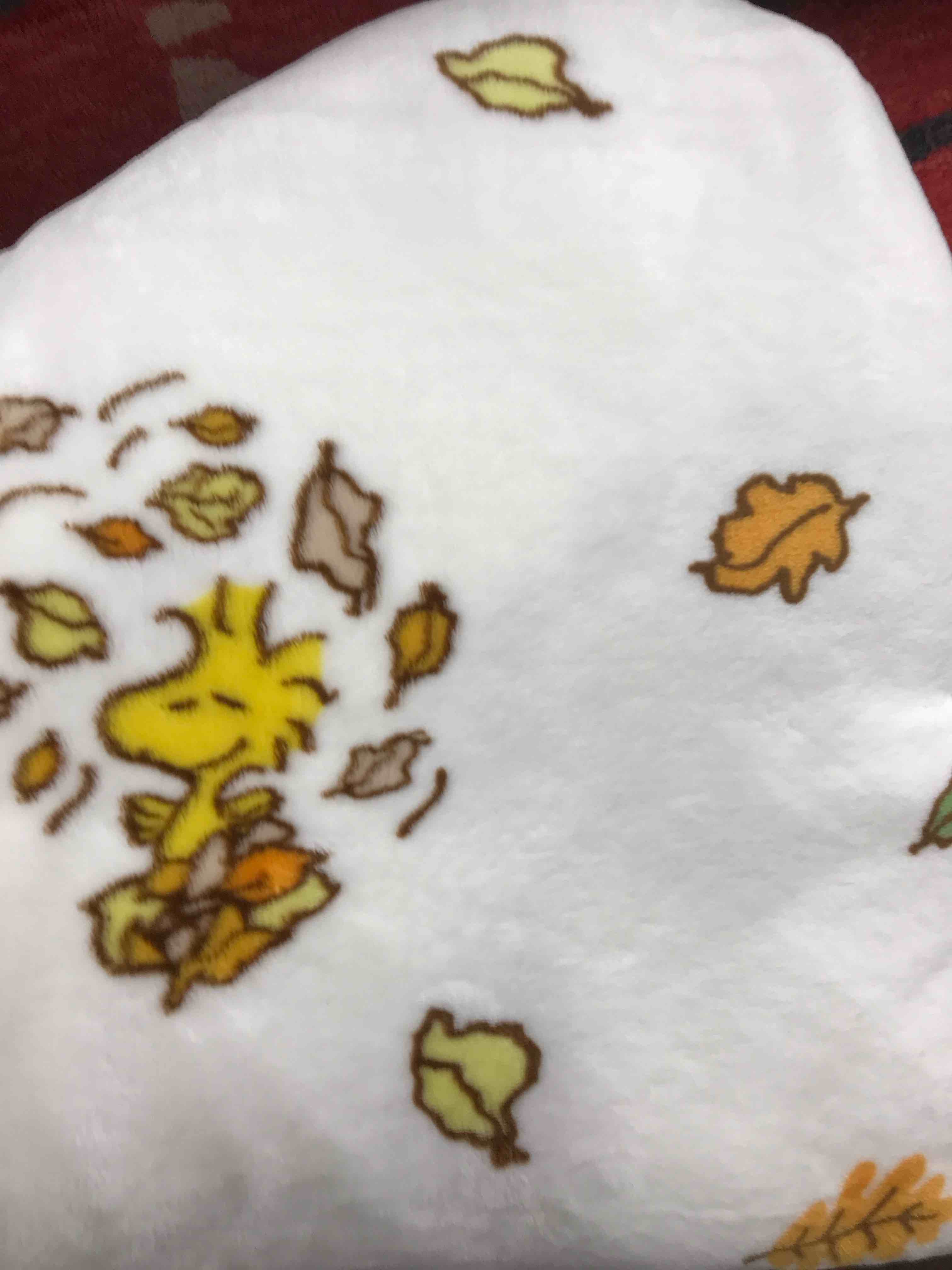 Woodstock Full/ Queen Blanketq