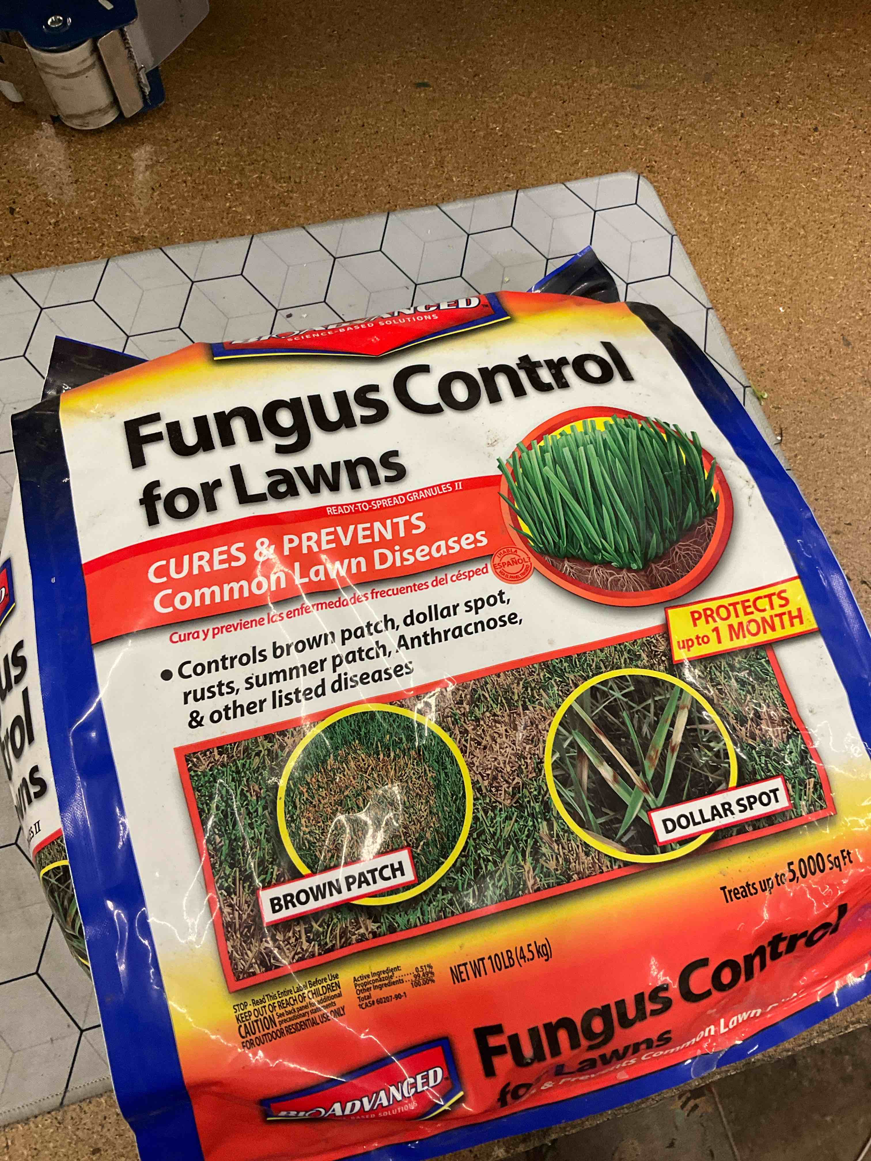 fungus control for lawns 