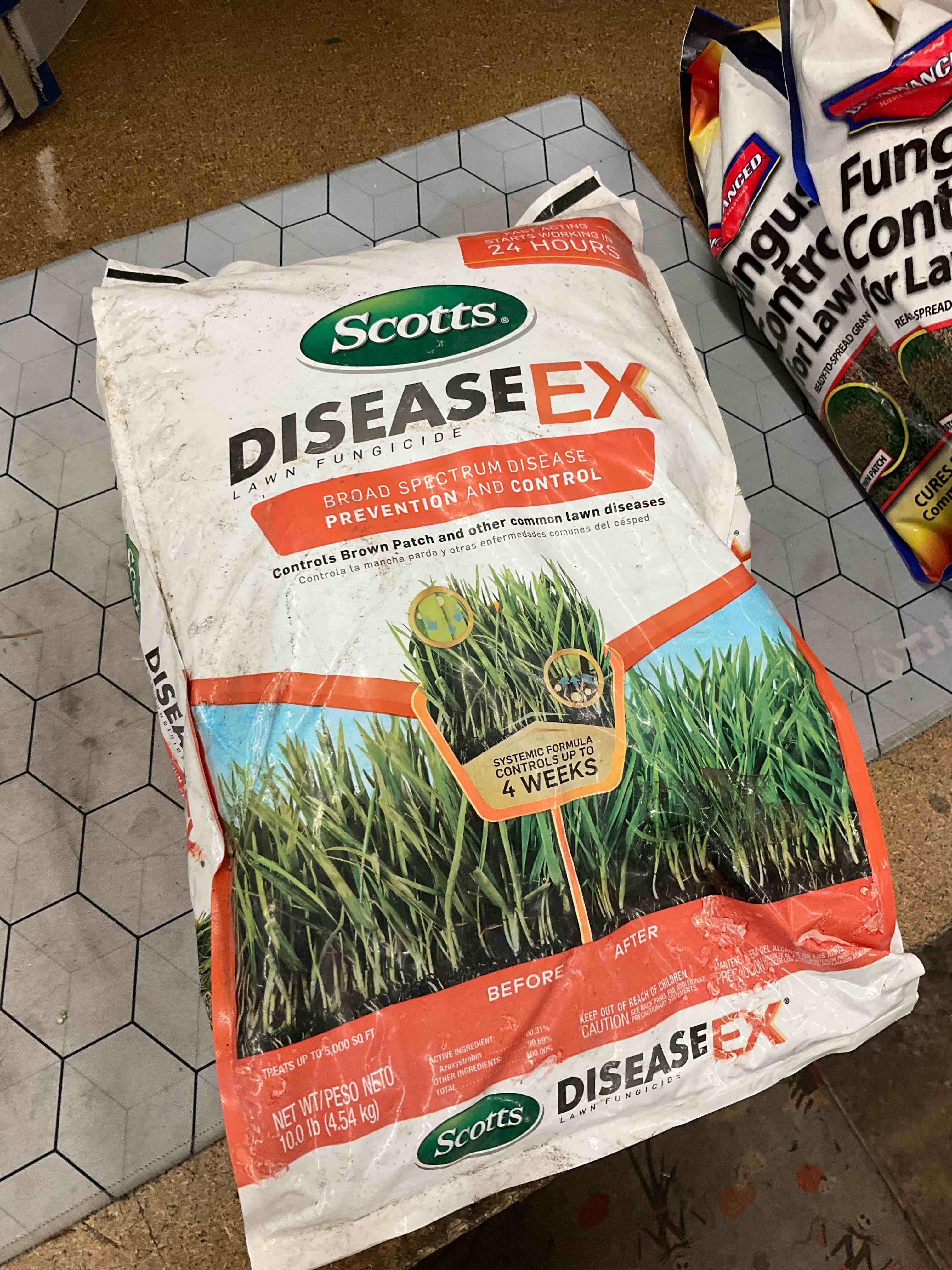 disease ex lawn fungicide