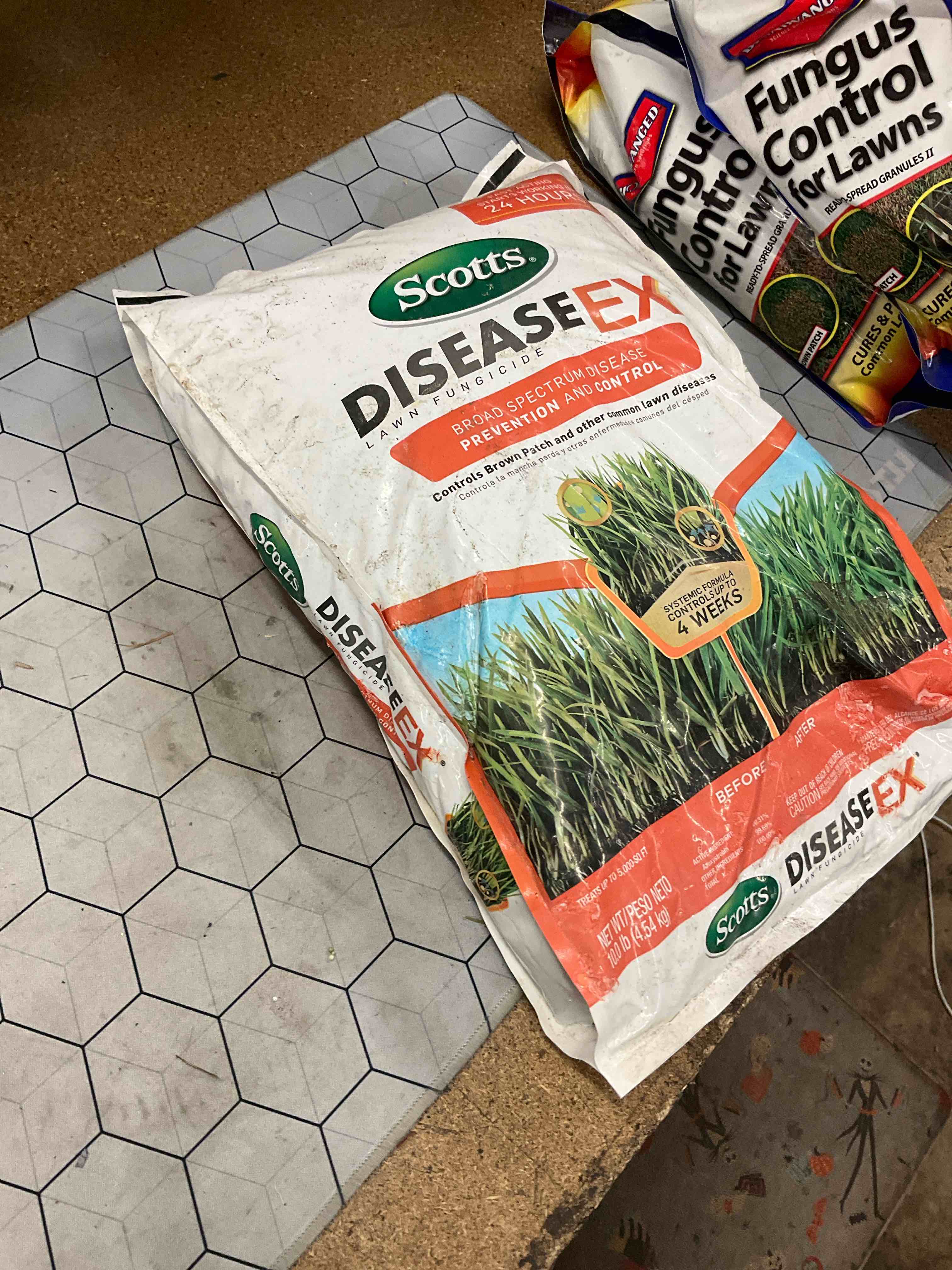 Condition photo showing Good Condition for disease ex lawn fungicide