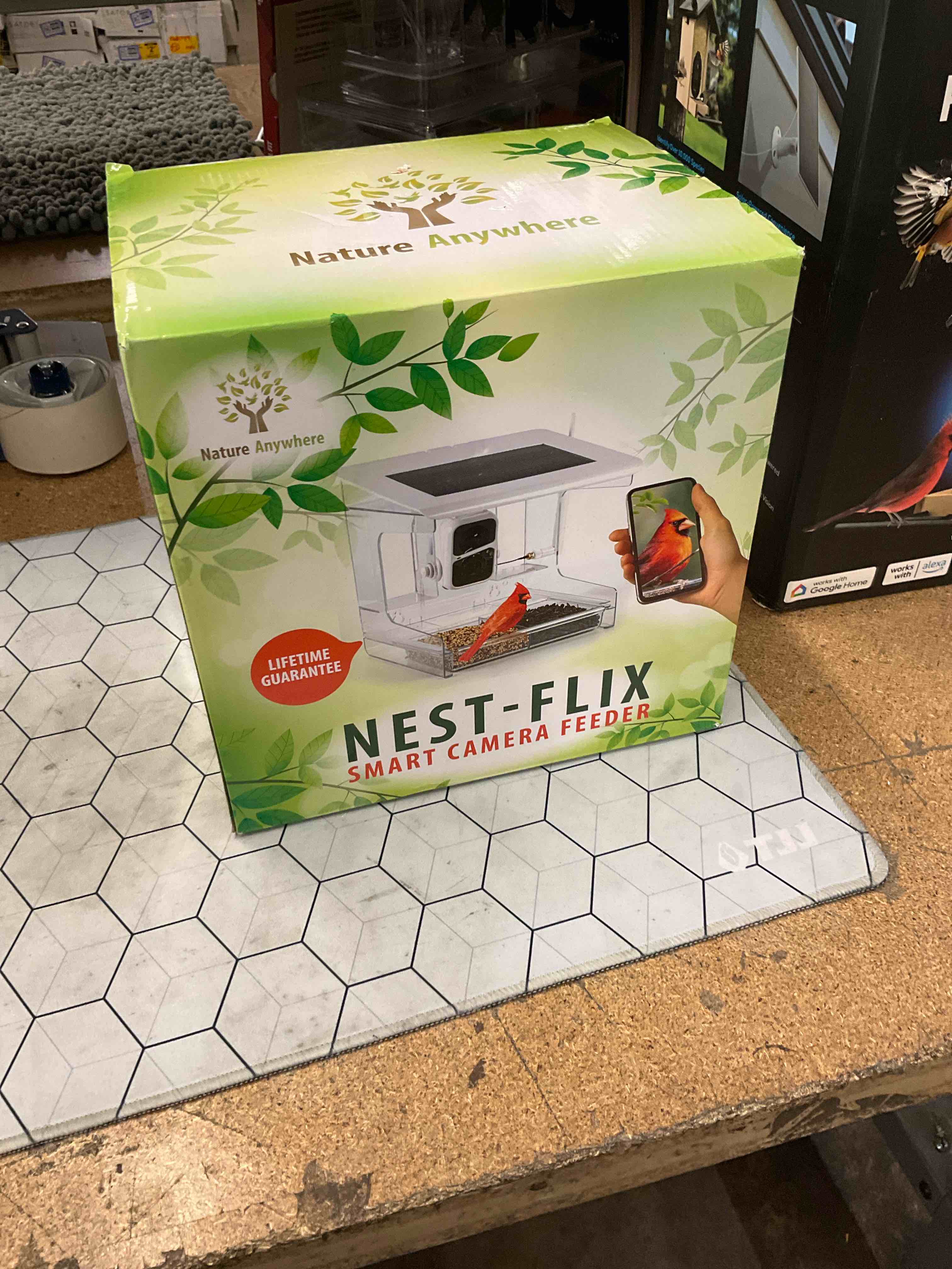 smart camera bird feeder 