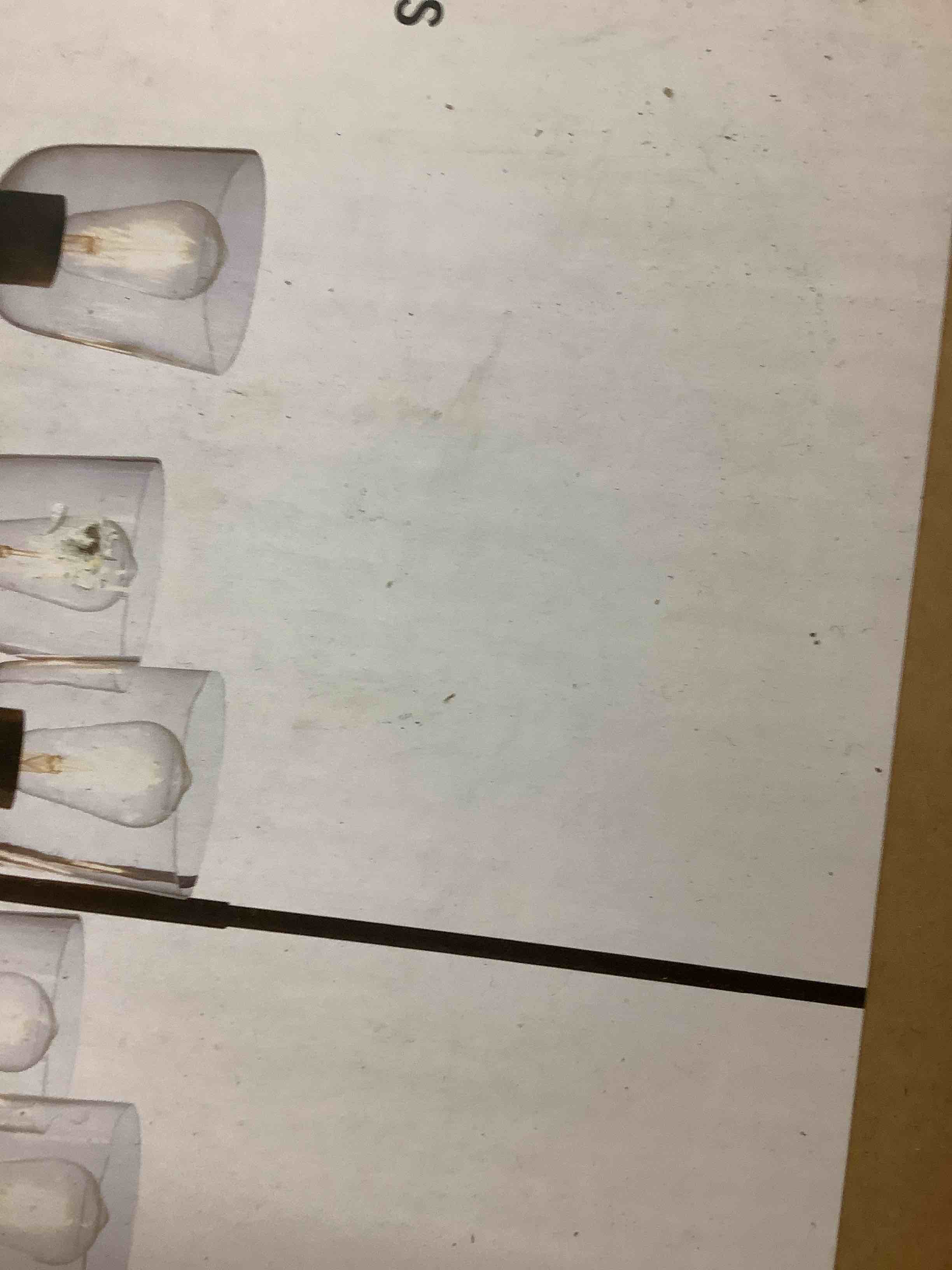 Great Deals, Just Bid!