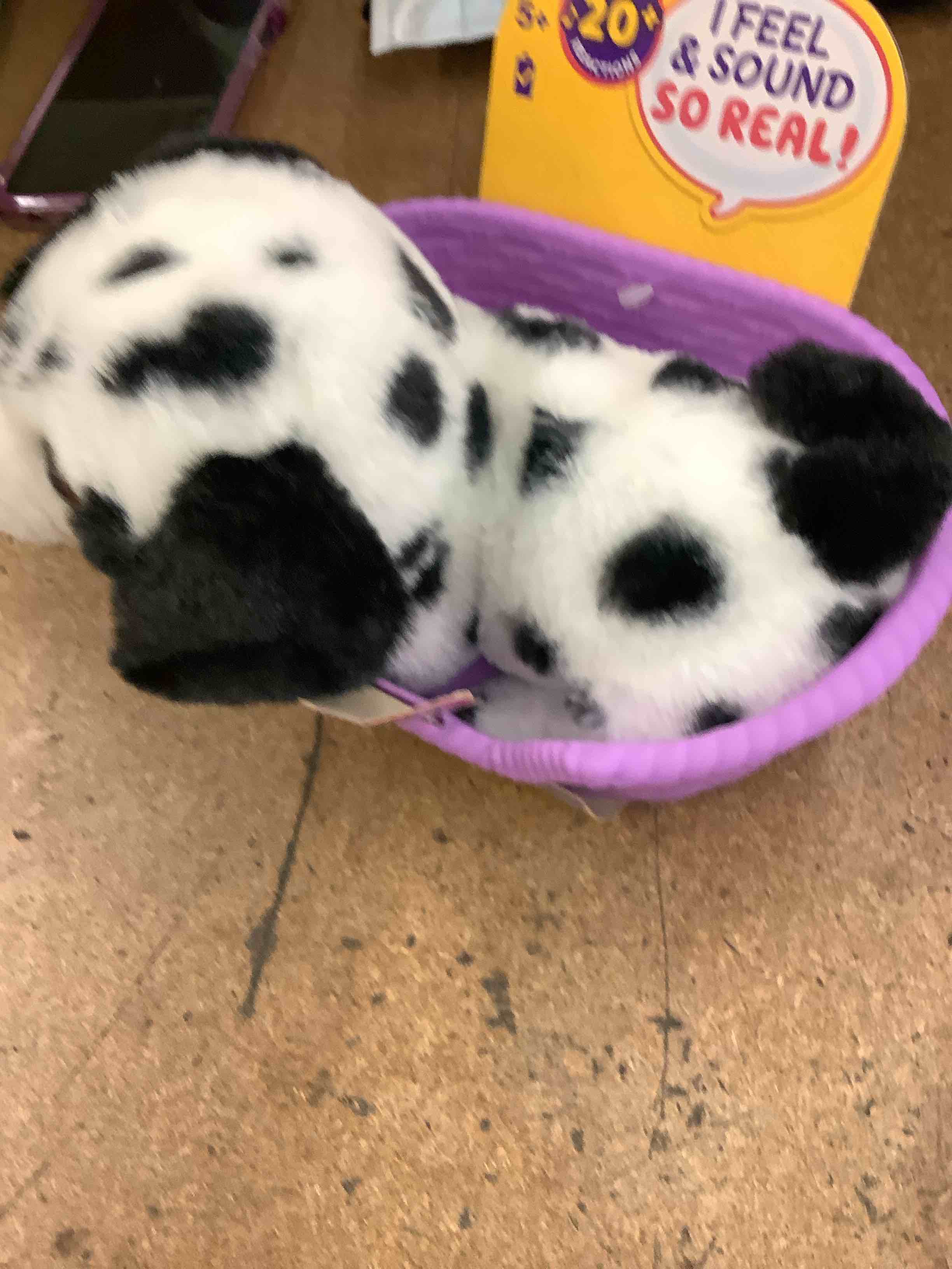 https://s3.amazonaws.com/lotting-images-prod/TheJayGroupLtd/PPE4001468_1774356162996.jpeg
