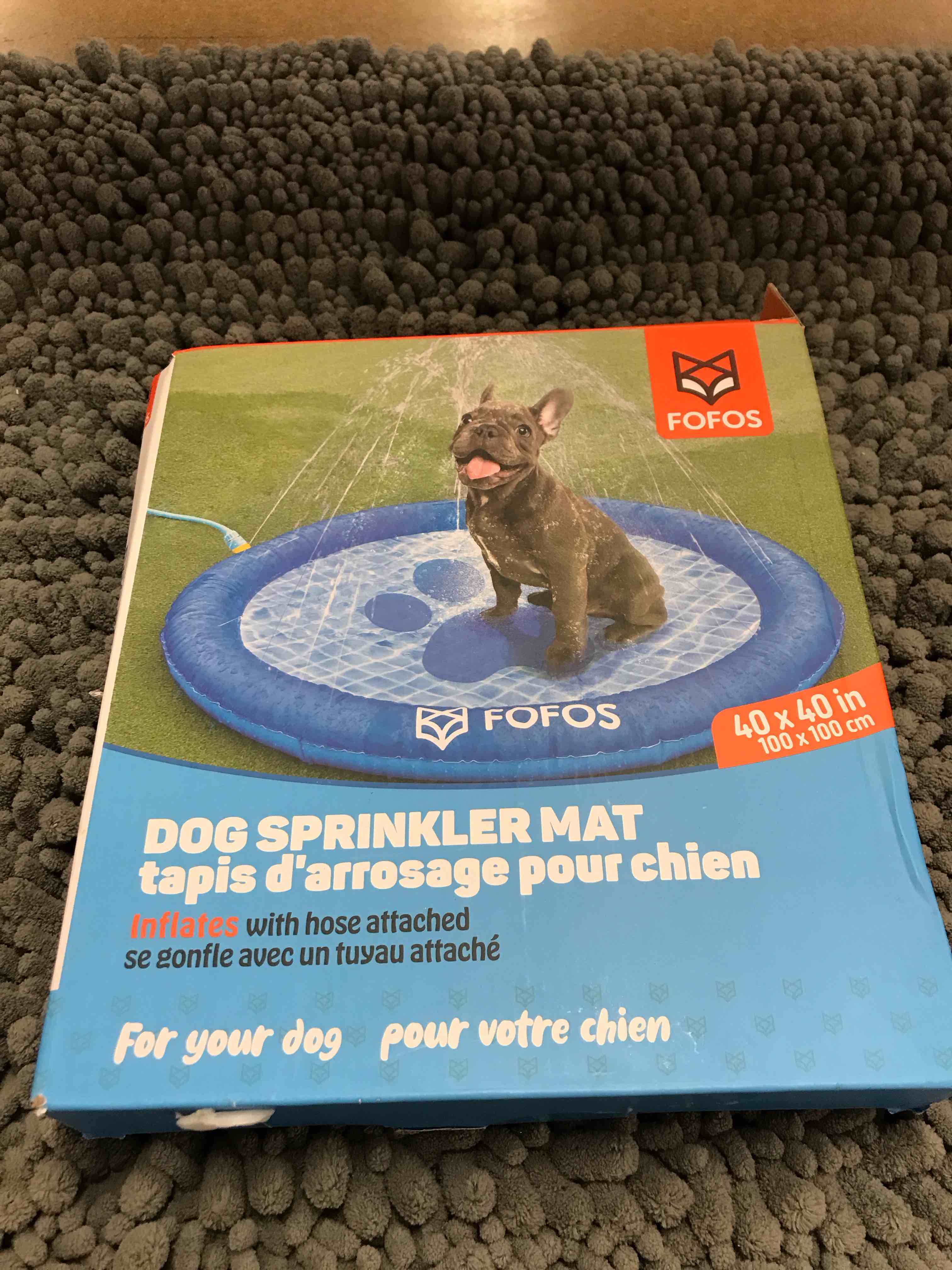 dog sprinkler mat