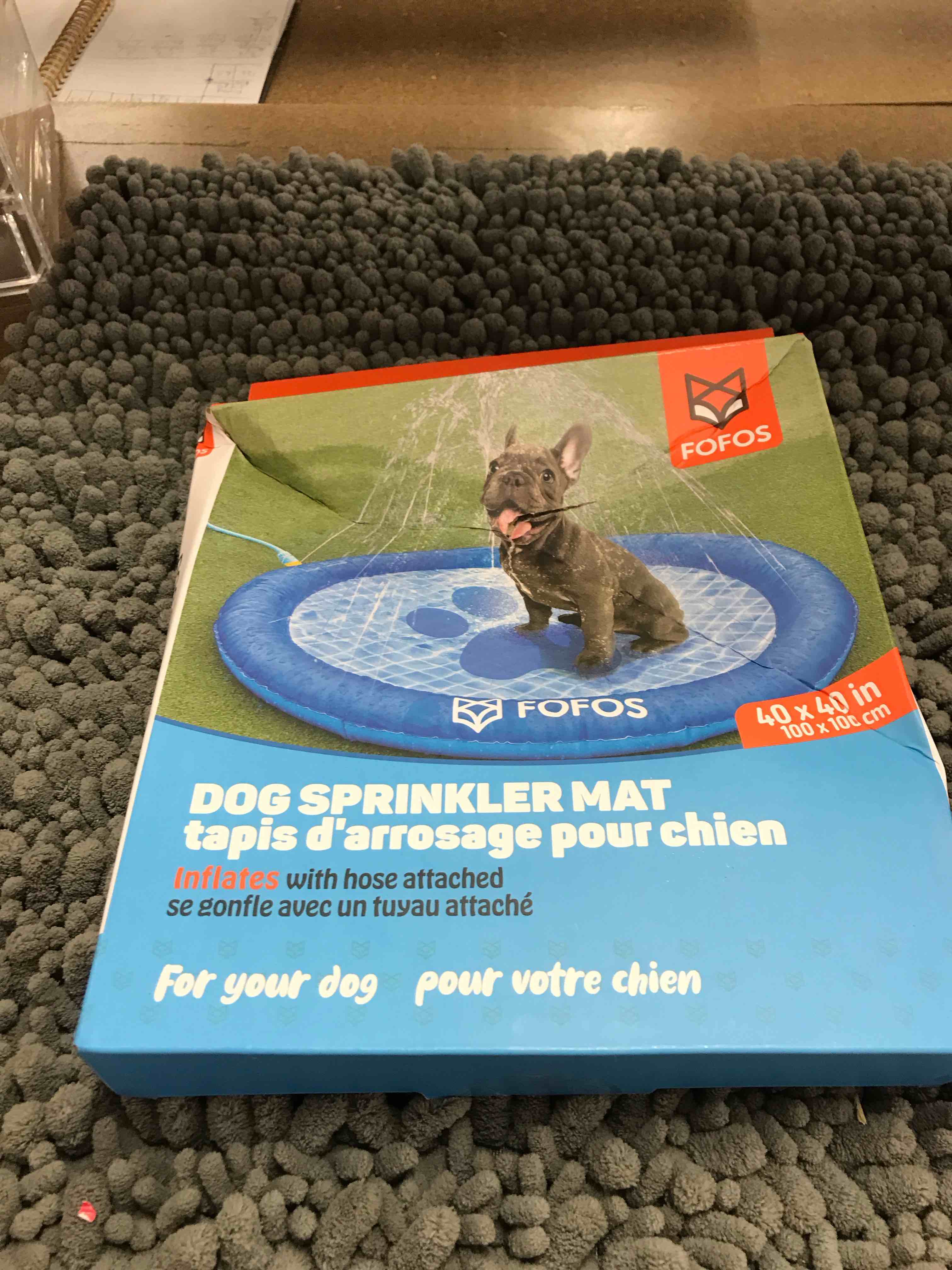 dog sprinkler mat