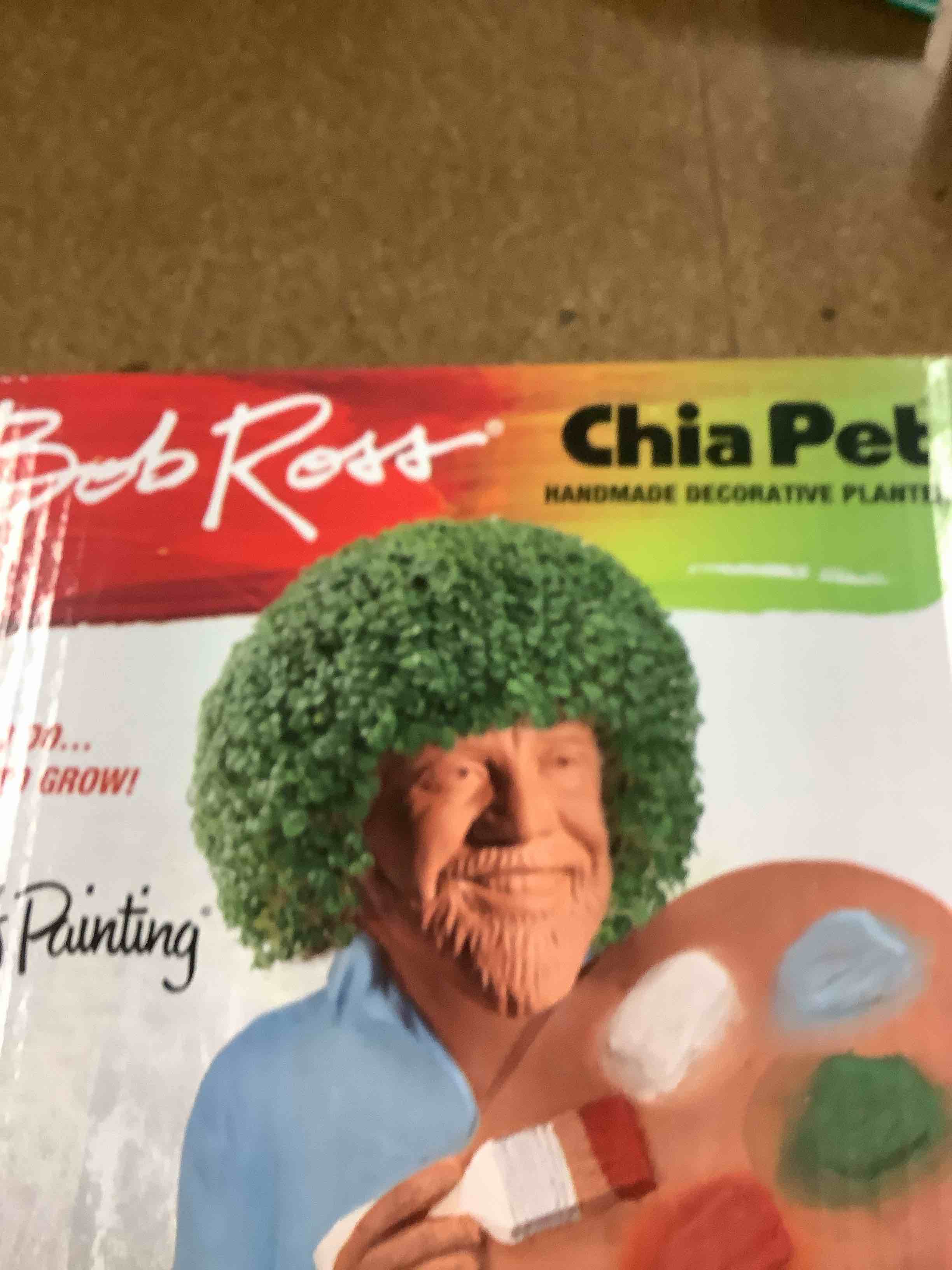 chia pet 