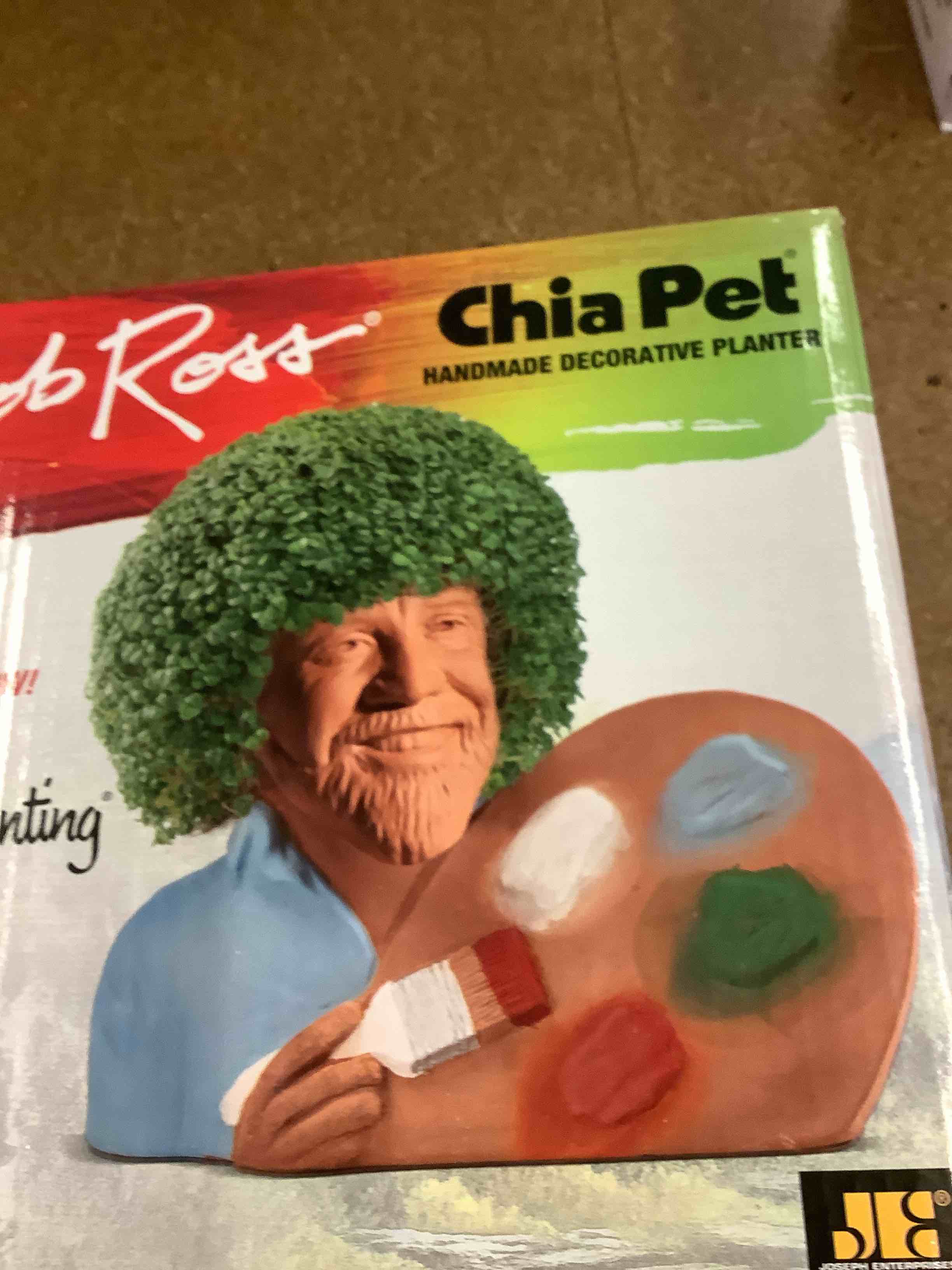 Condition photo showing Good Condition for chia pet
