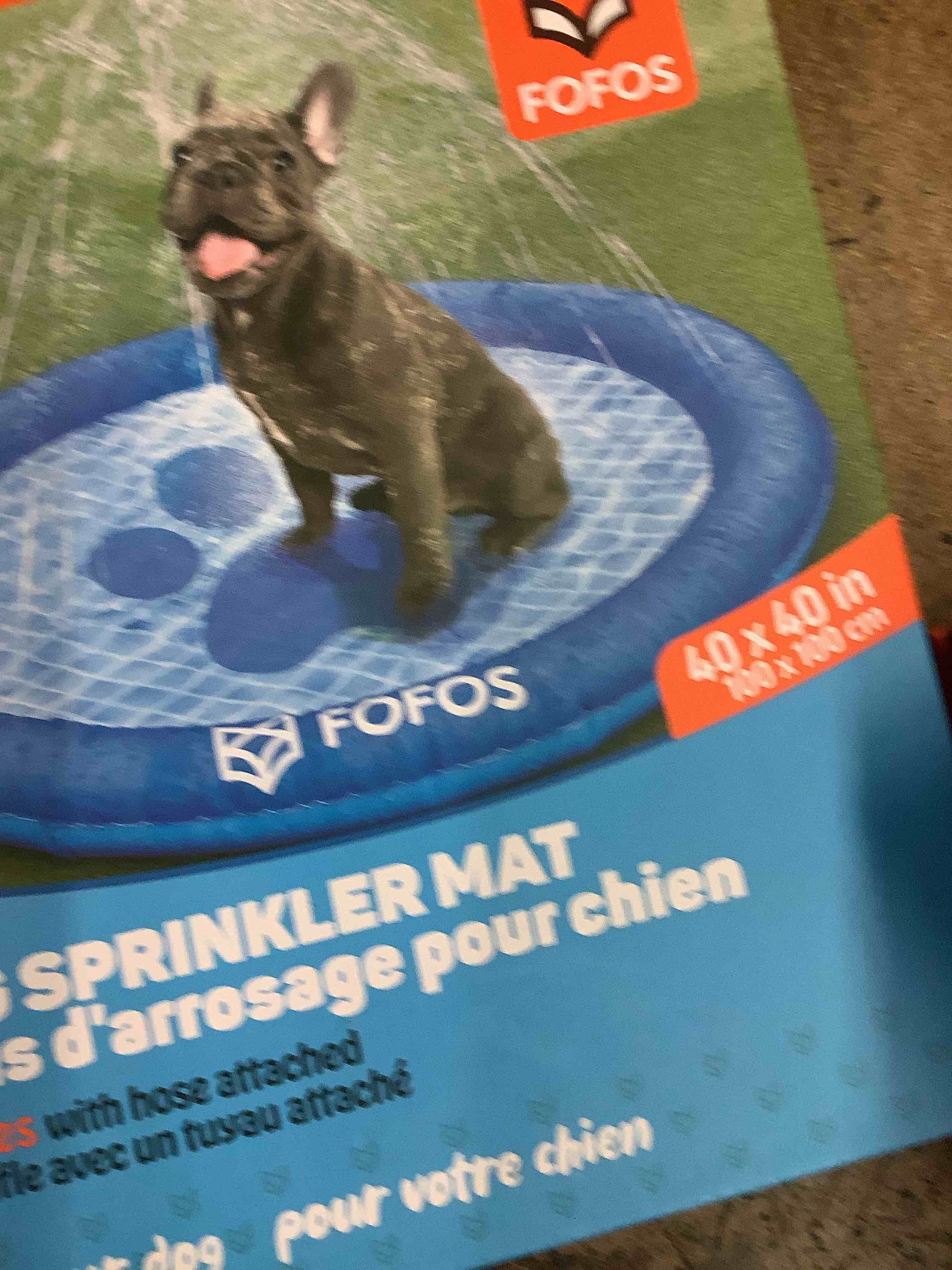 sprinkler for pet 