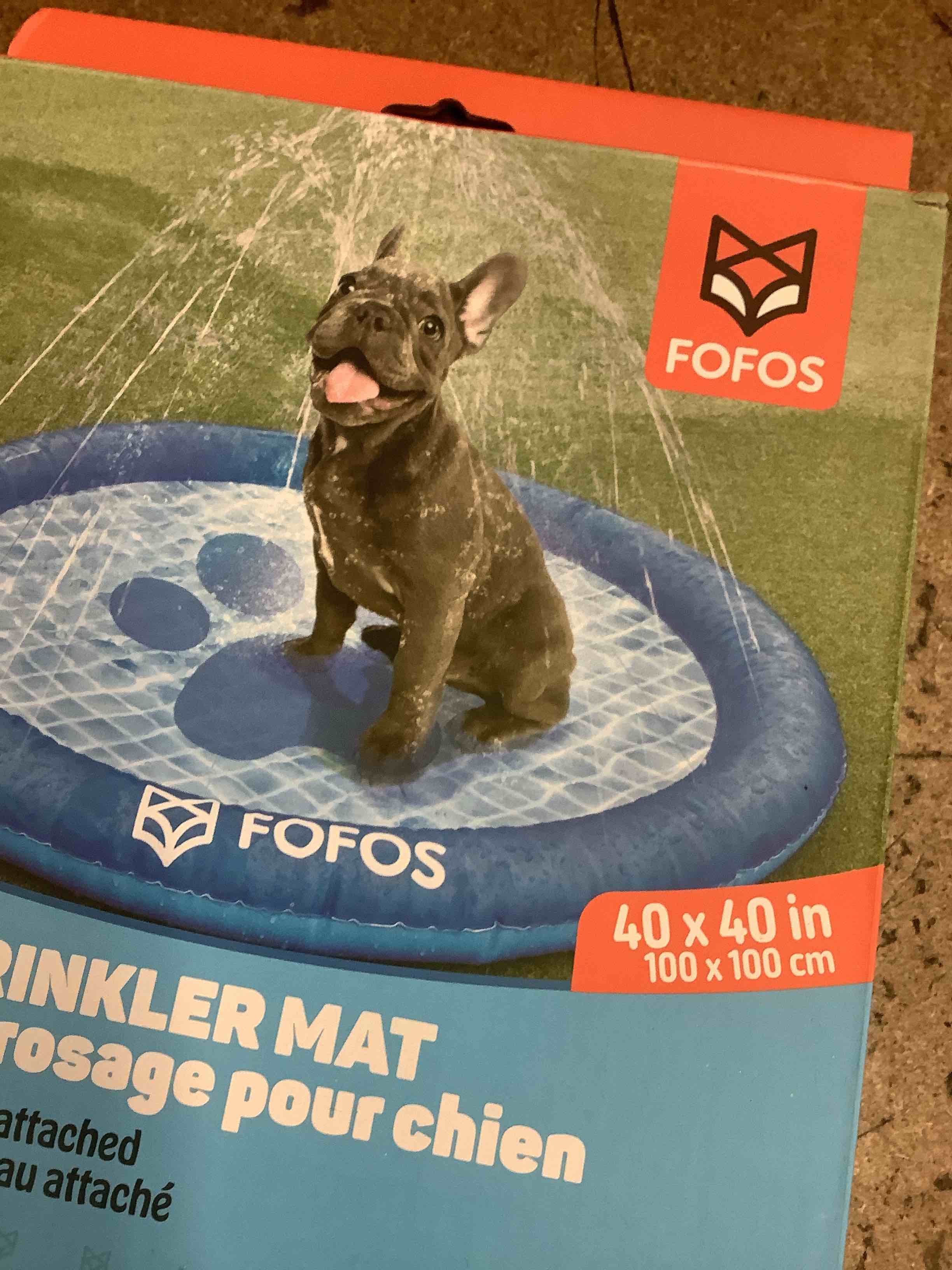 dog mat 