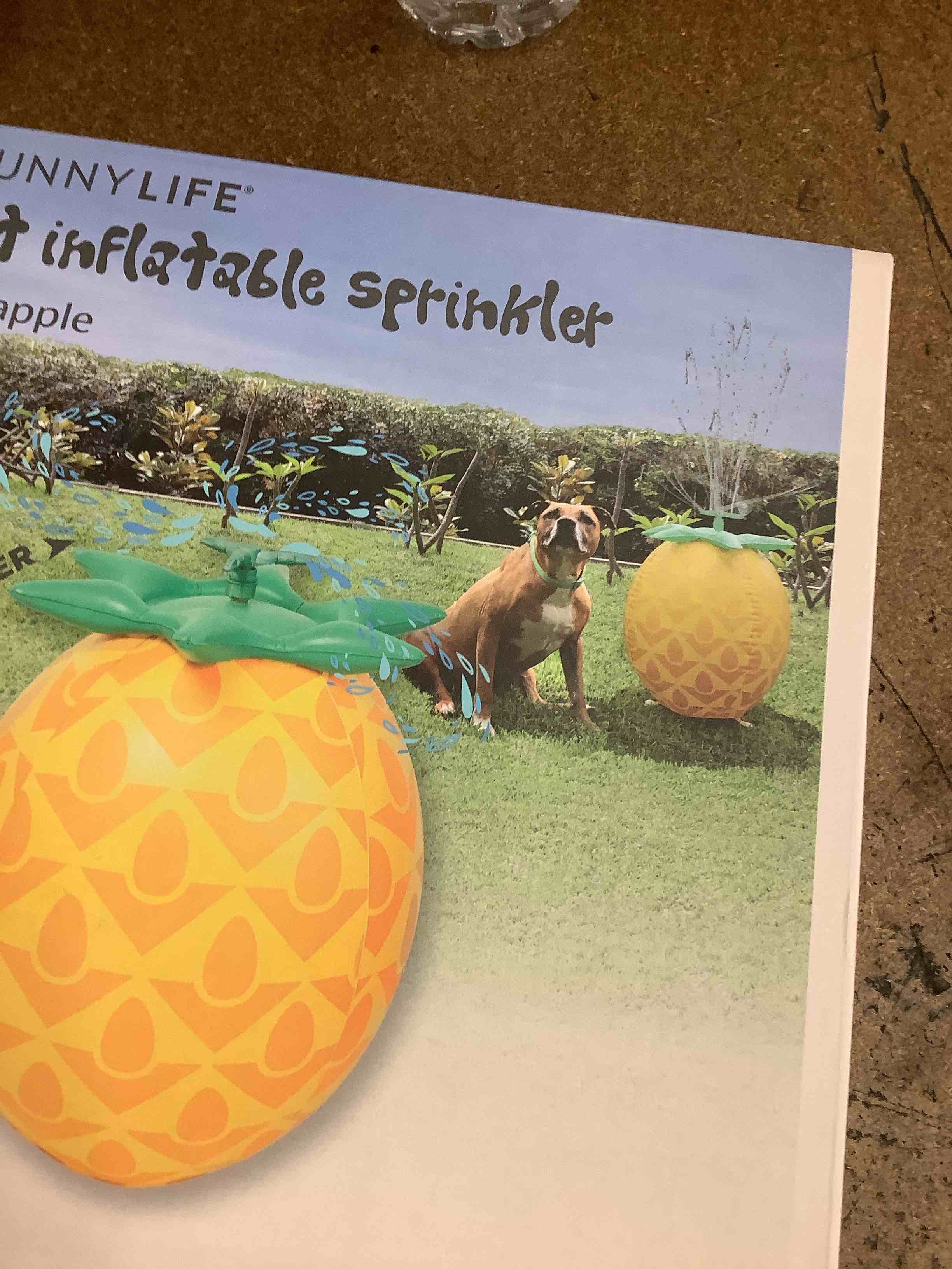 Hoppy Easter from Bargain Lane!