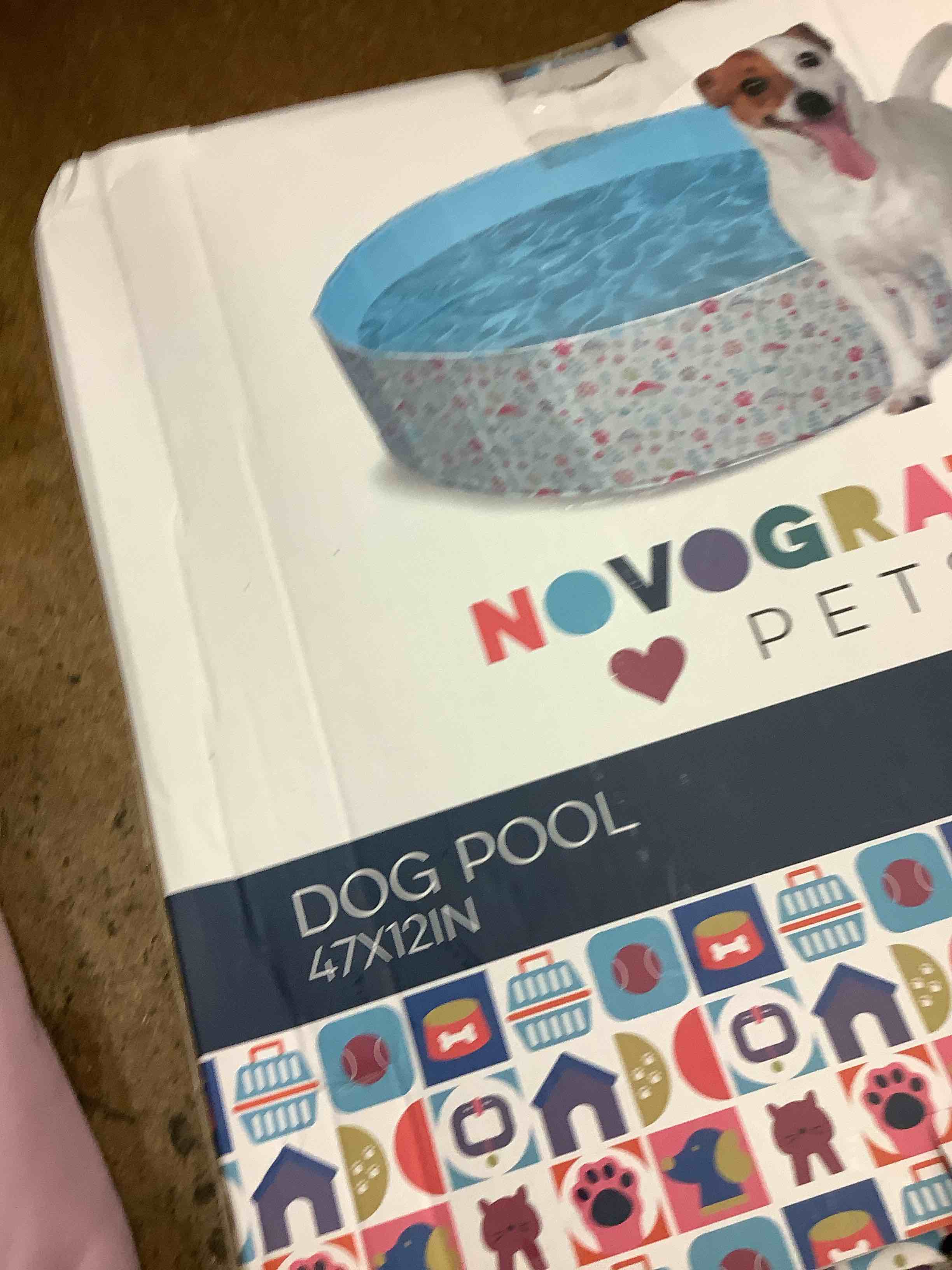 dog pool