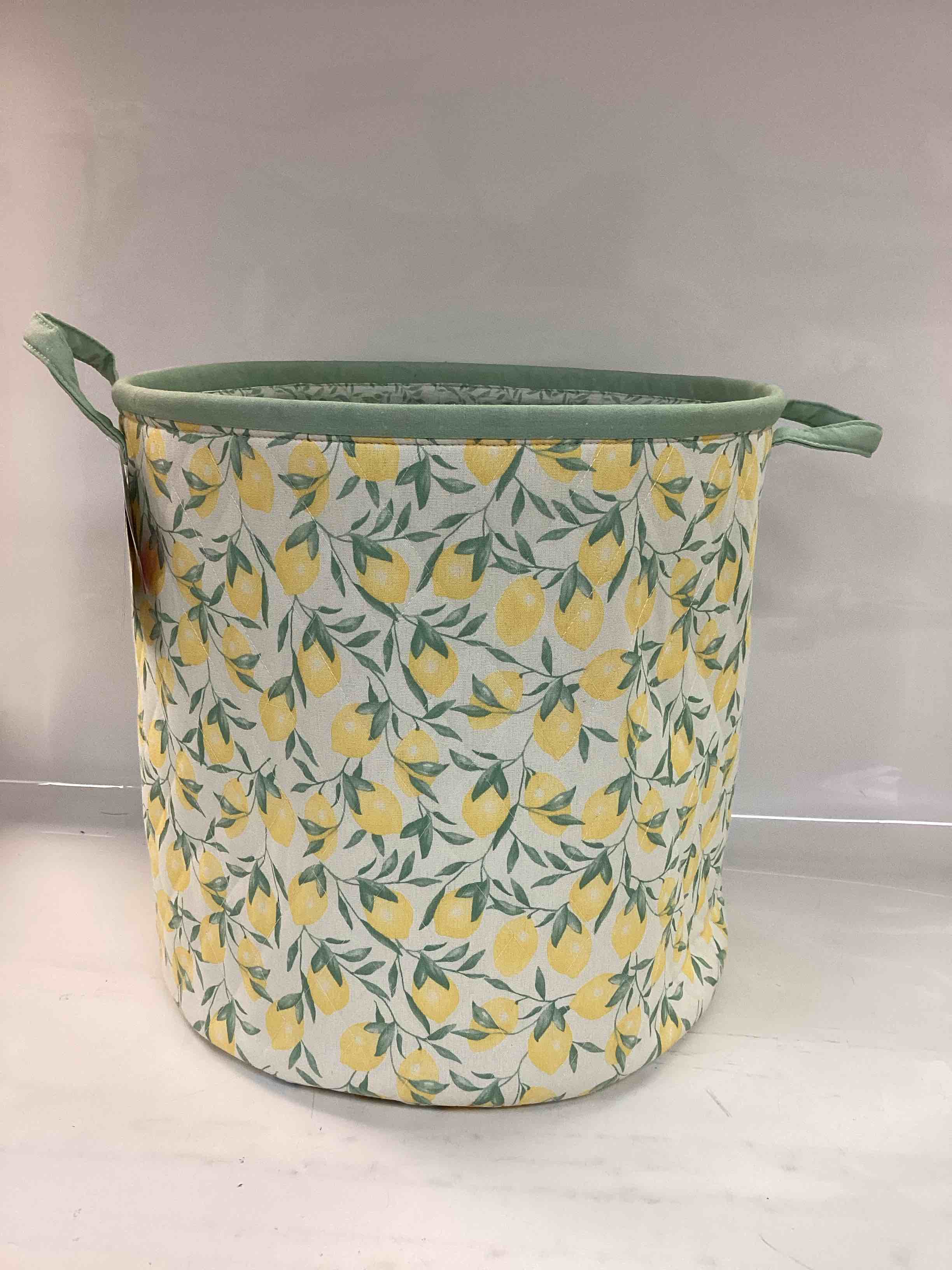 Multi Purpose Storage bin