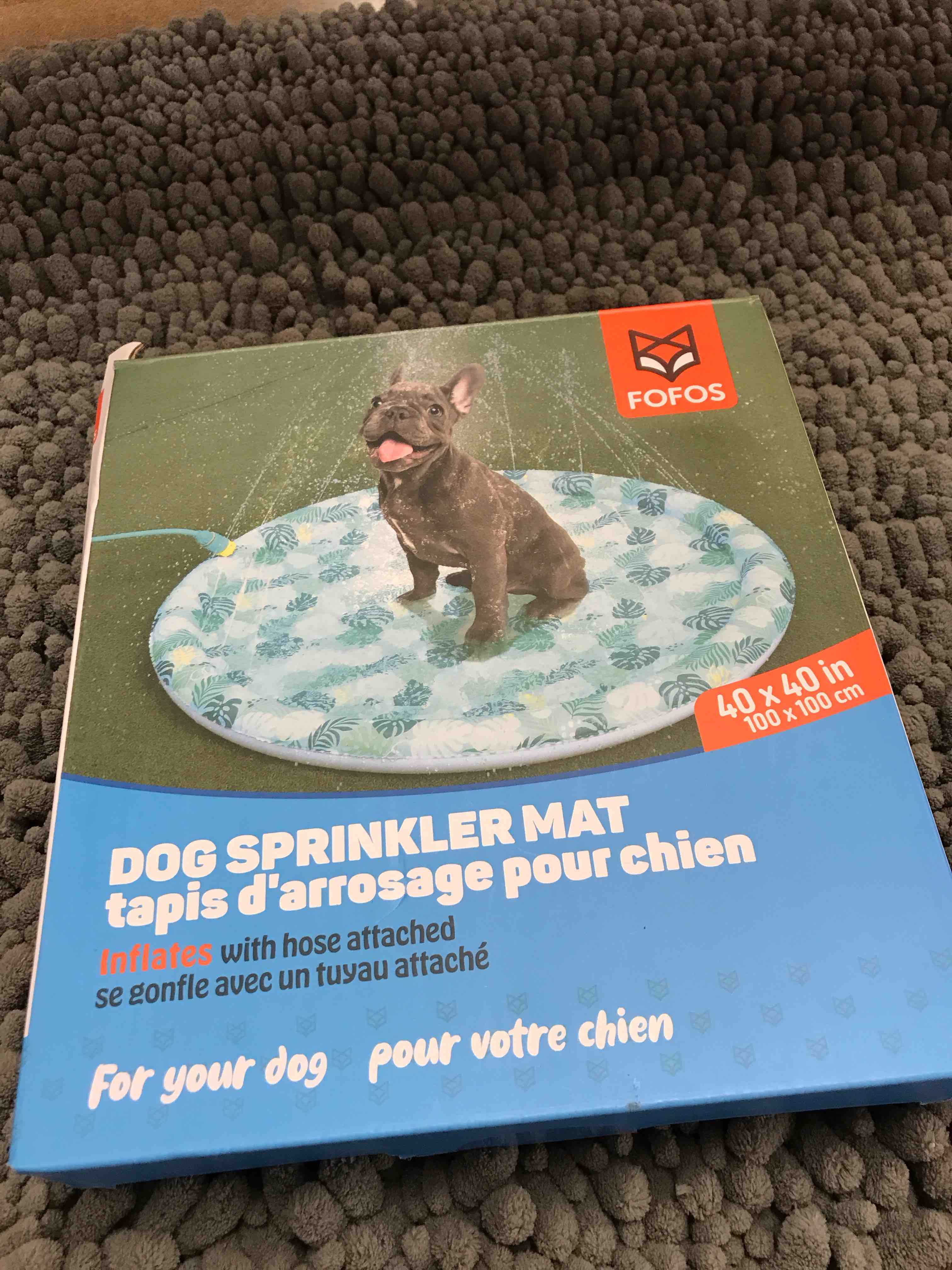 dog sprinkler mat
