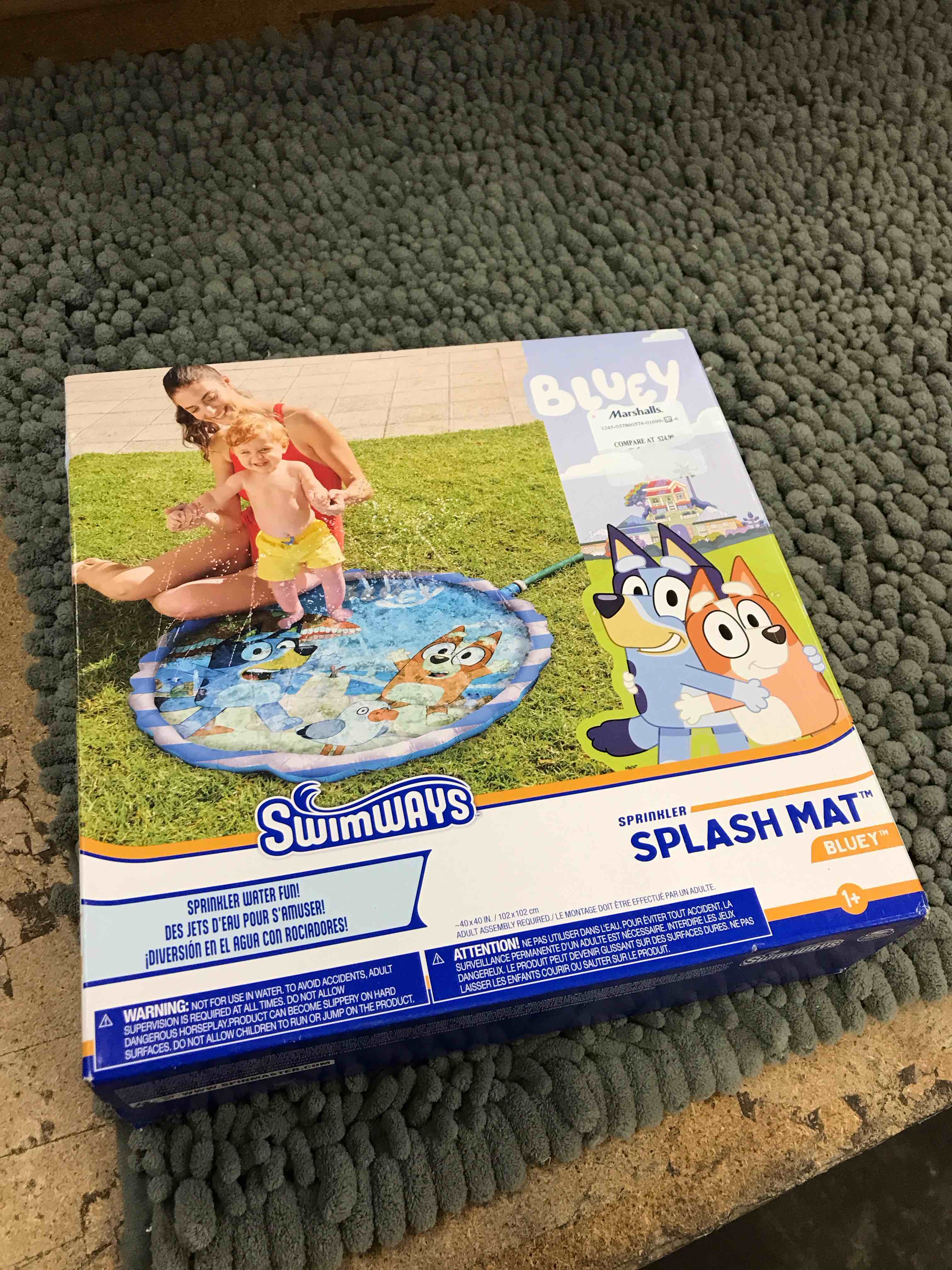 Bluey Sprinkler Splash Mat