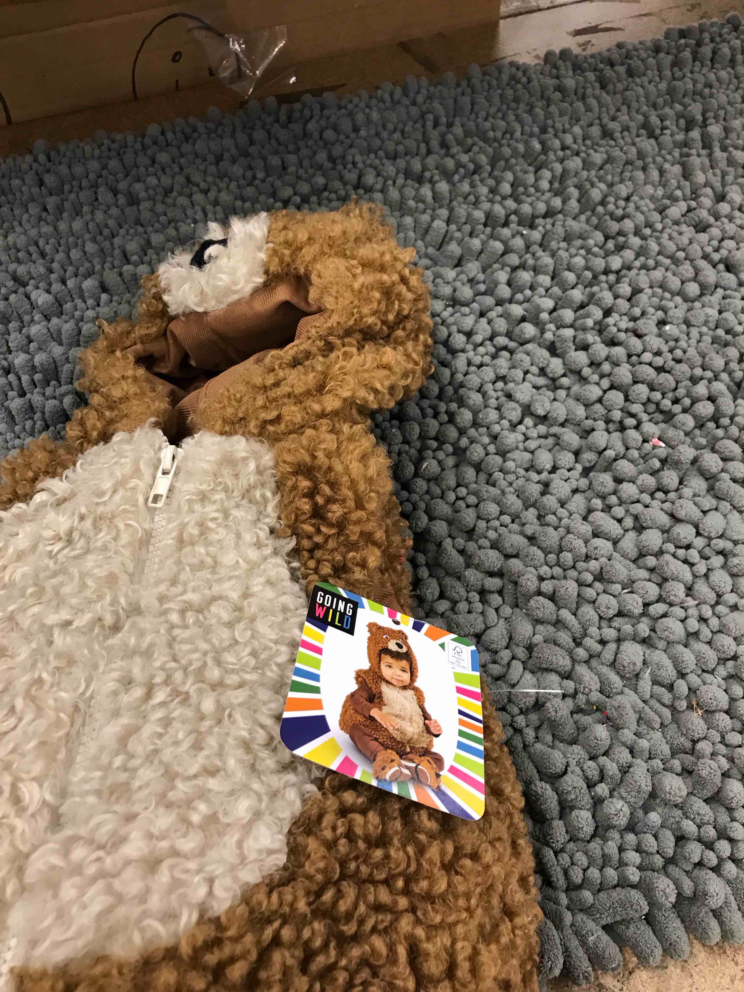 Condition photo showing New/Like New for infants costume