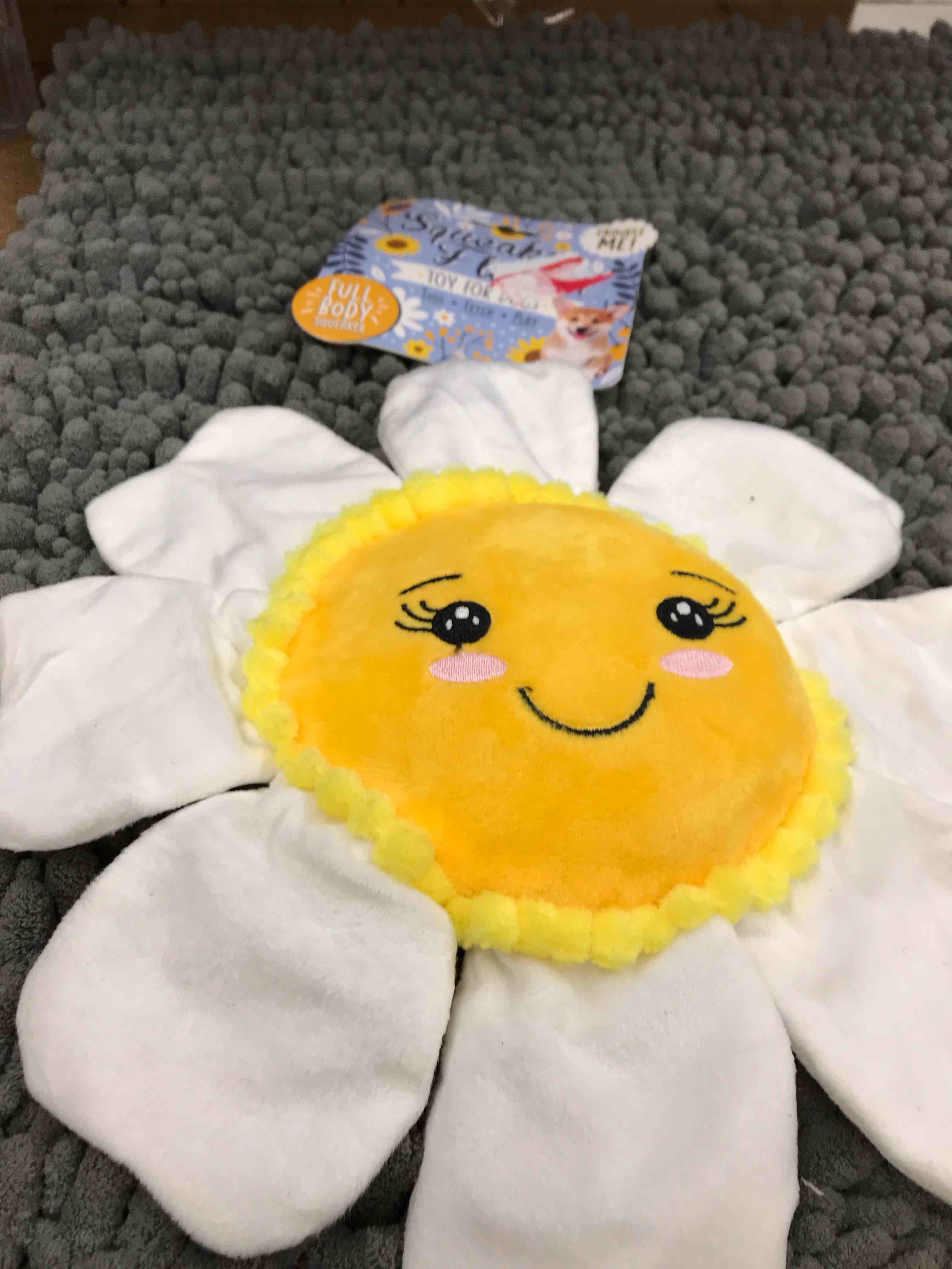 Condition photo showing New/Like New for squeaky crinkle dog toy