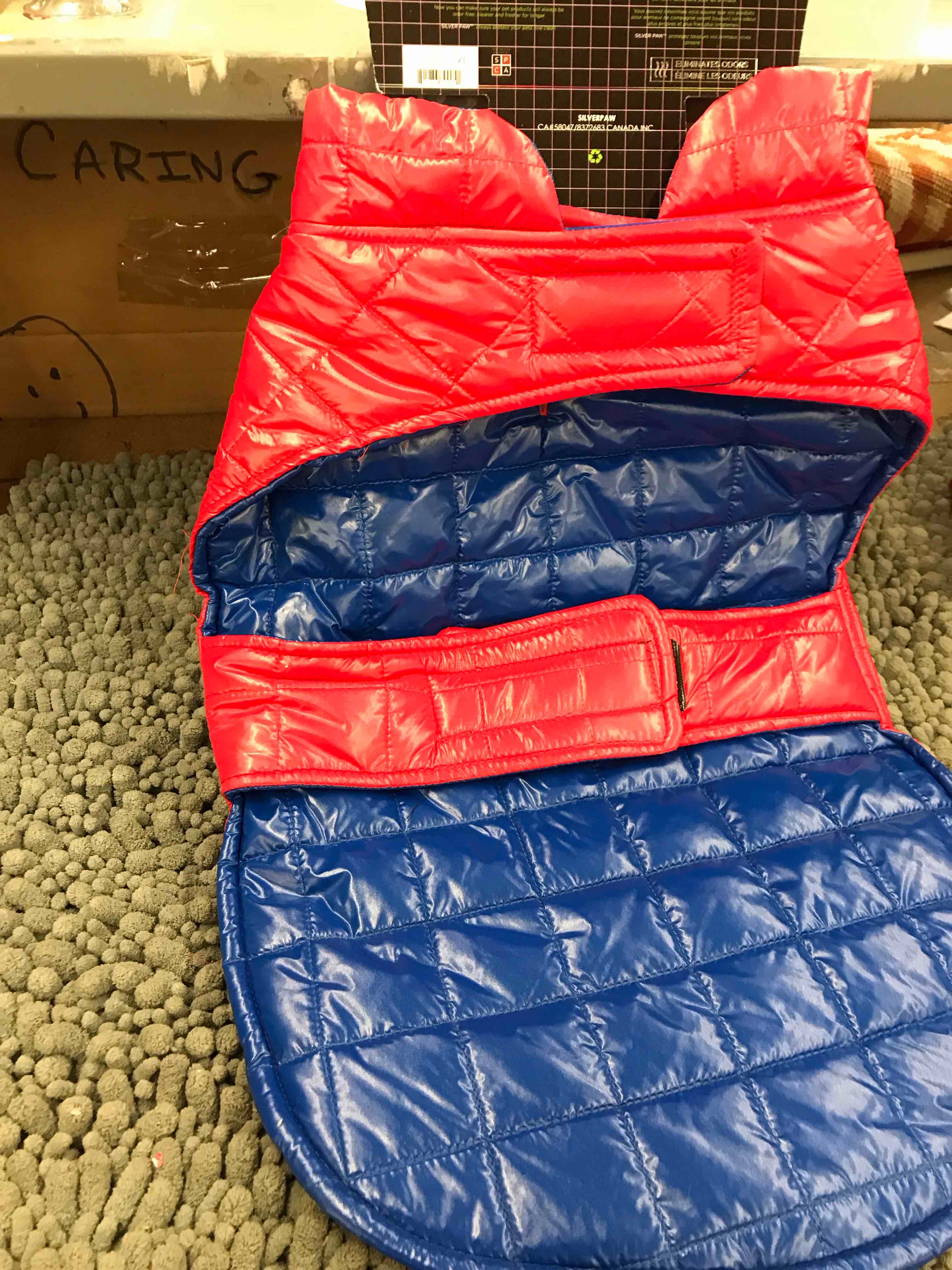 dog vest