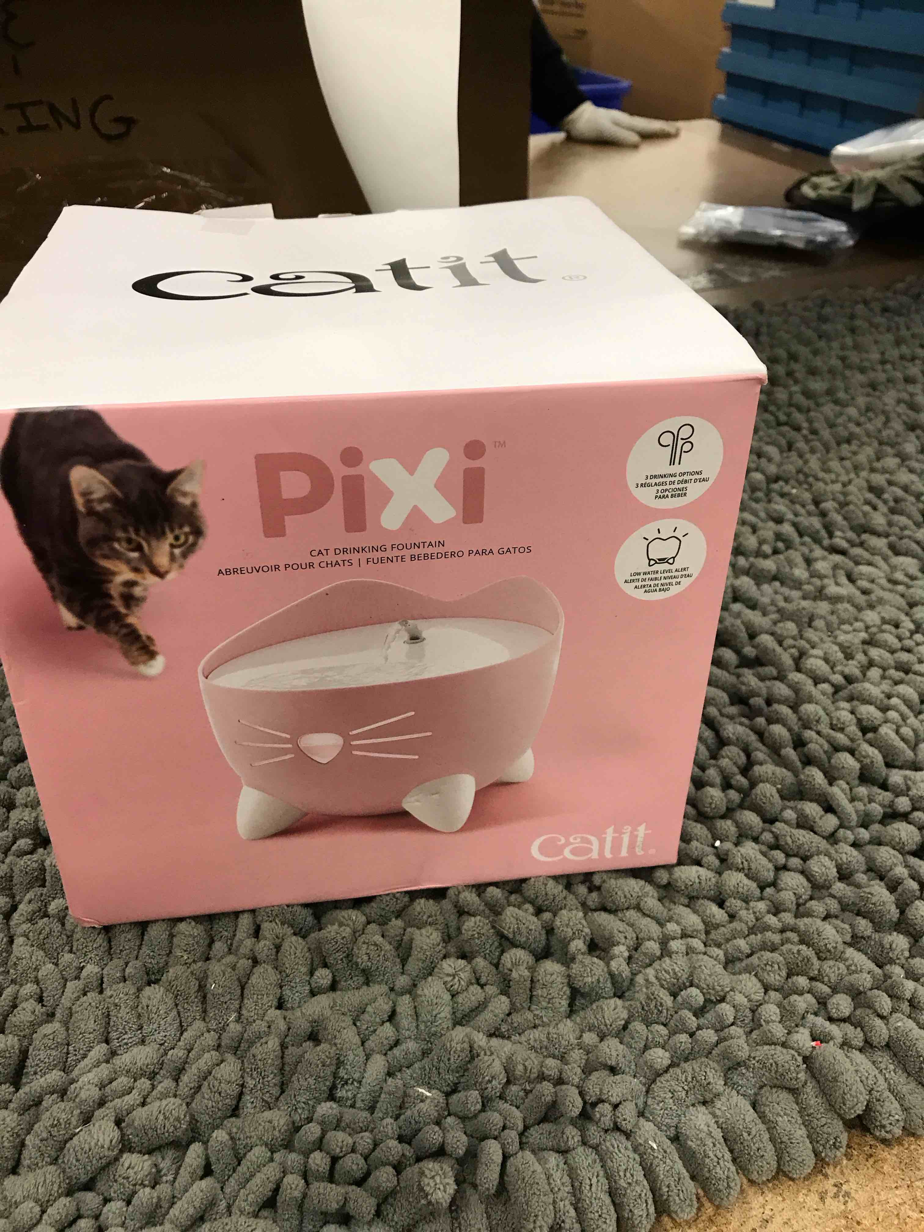 Cat Drinking Fountain