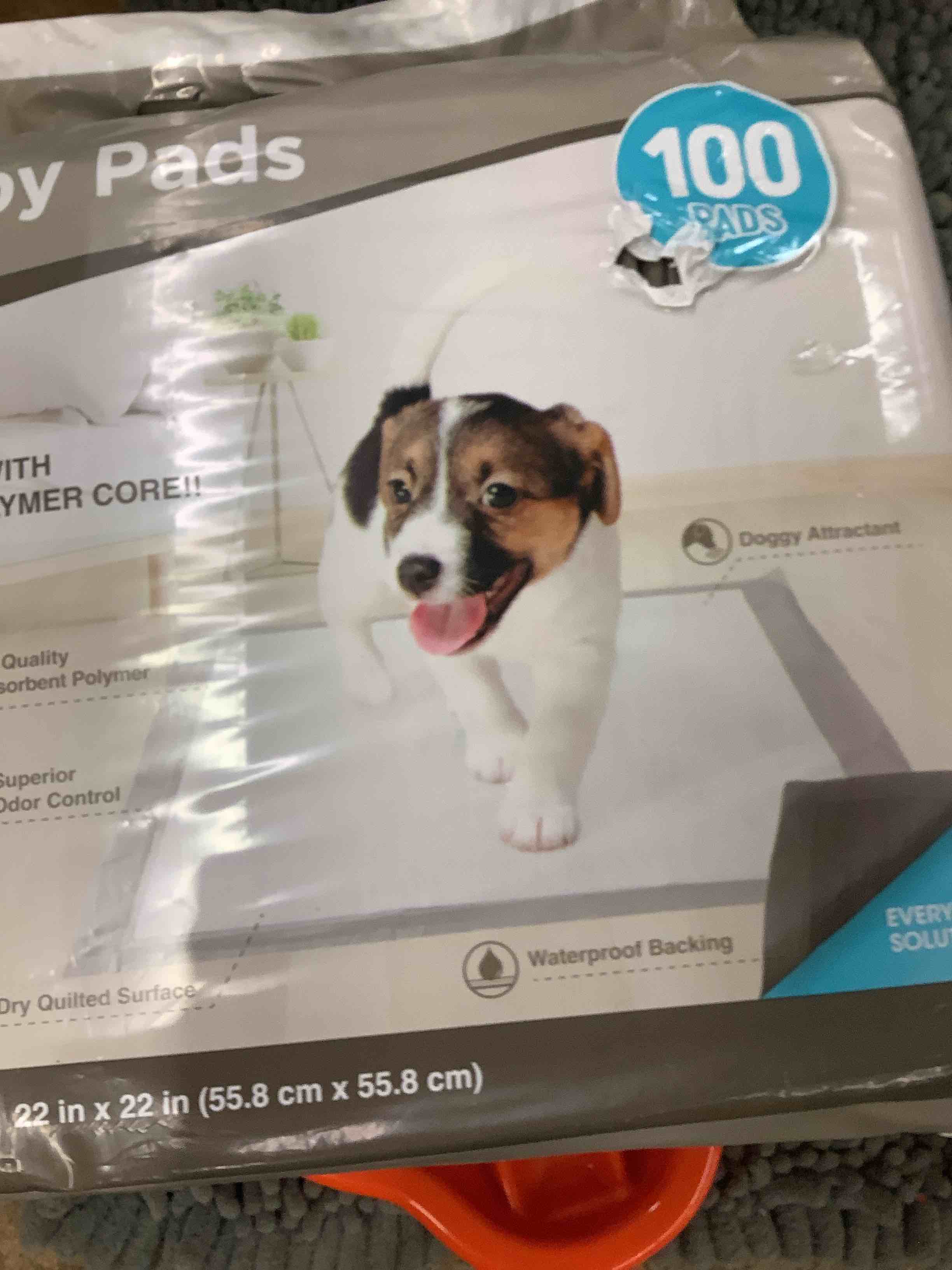 Condition photo showing Good Condition for puppy pad 