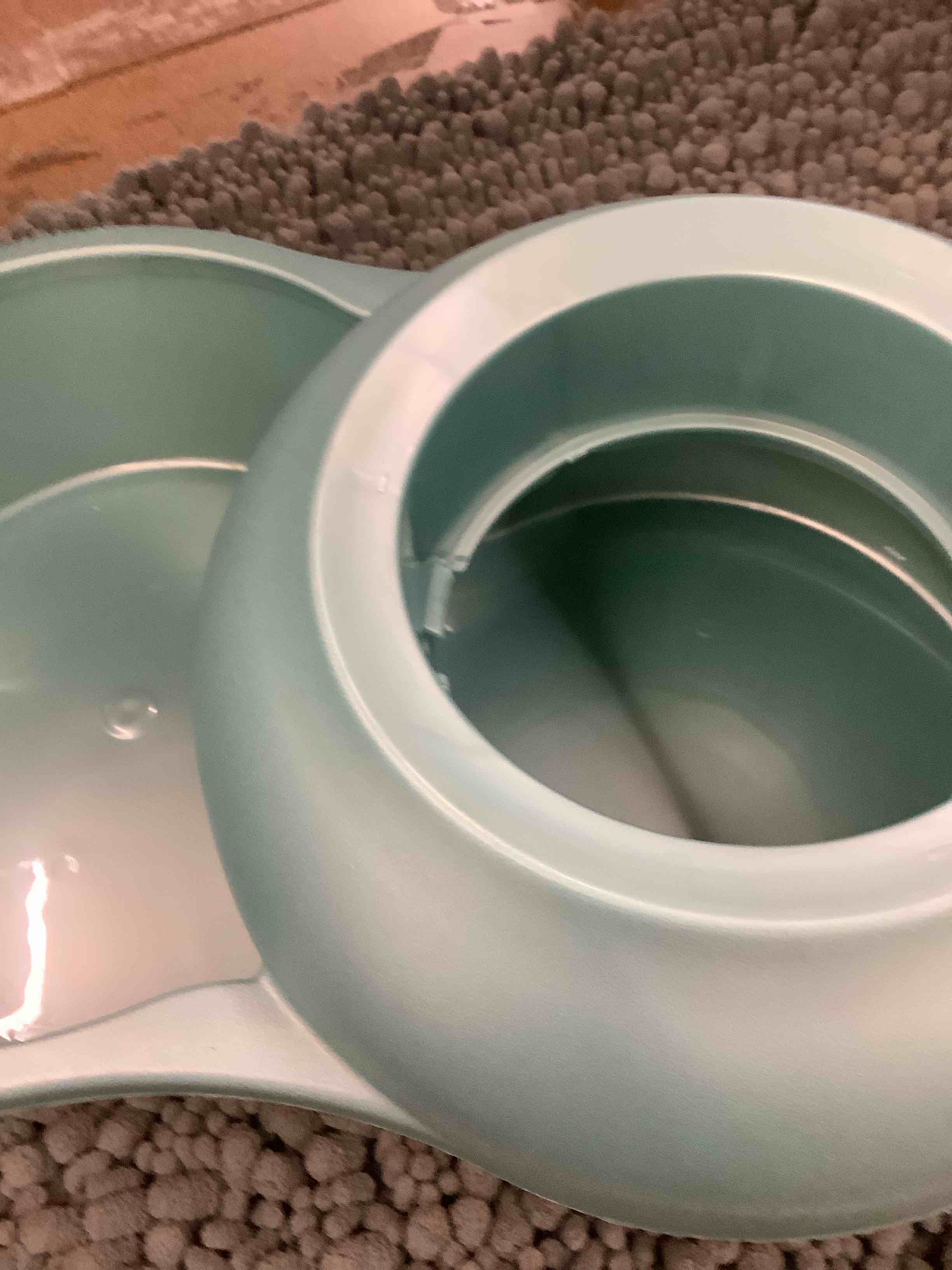 Condition photo showing Good Condition for dog bowl