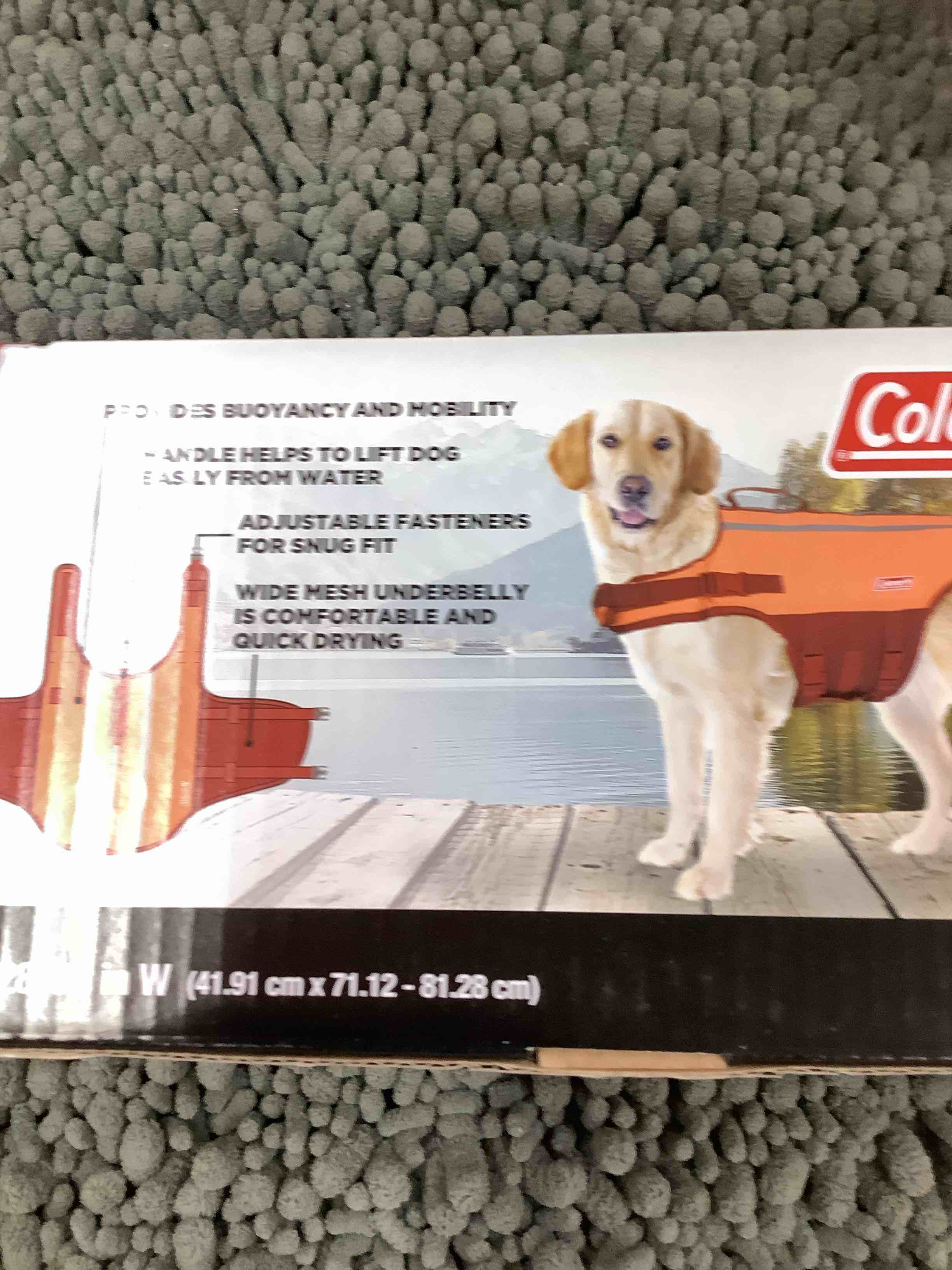 Condition photo showing Good Condition for pet float device 