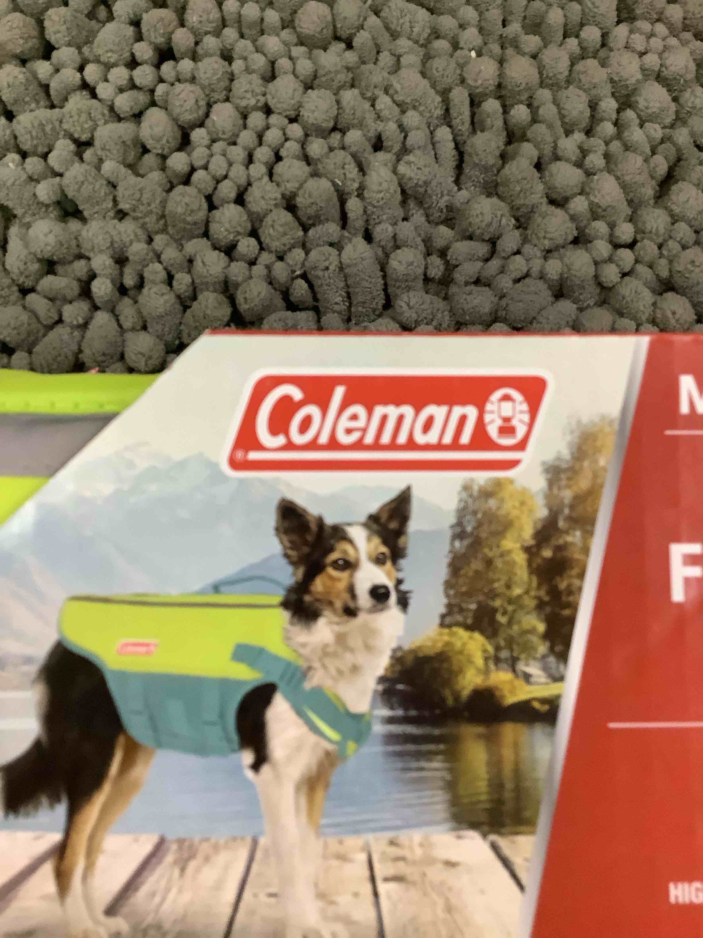 Condition photo showing Good Condition for pet float device 