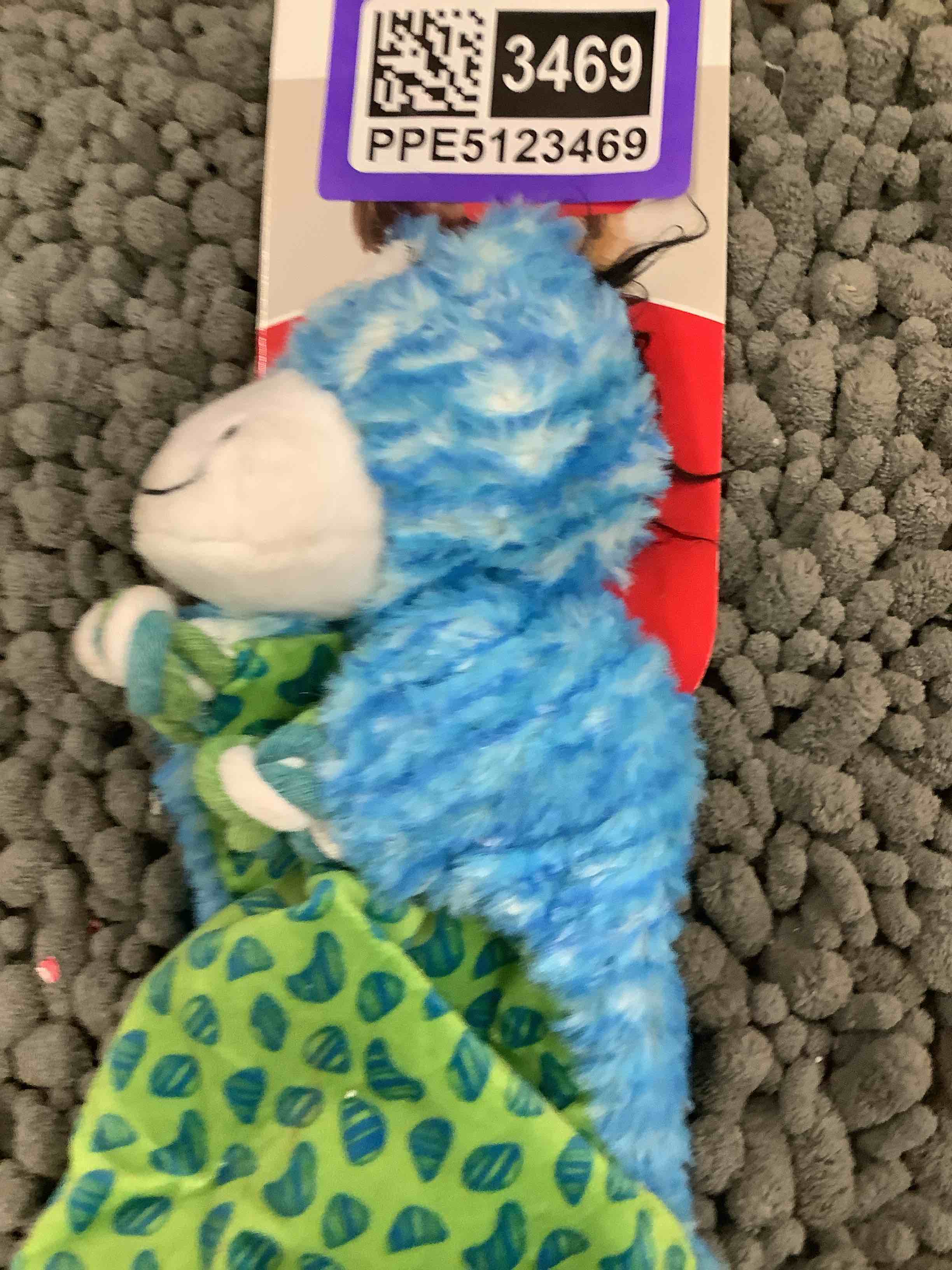 dog toy 