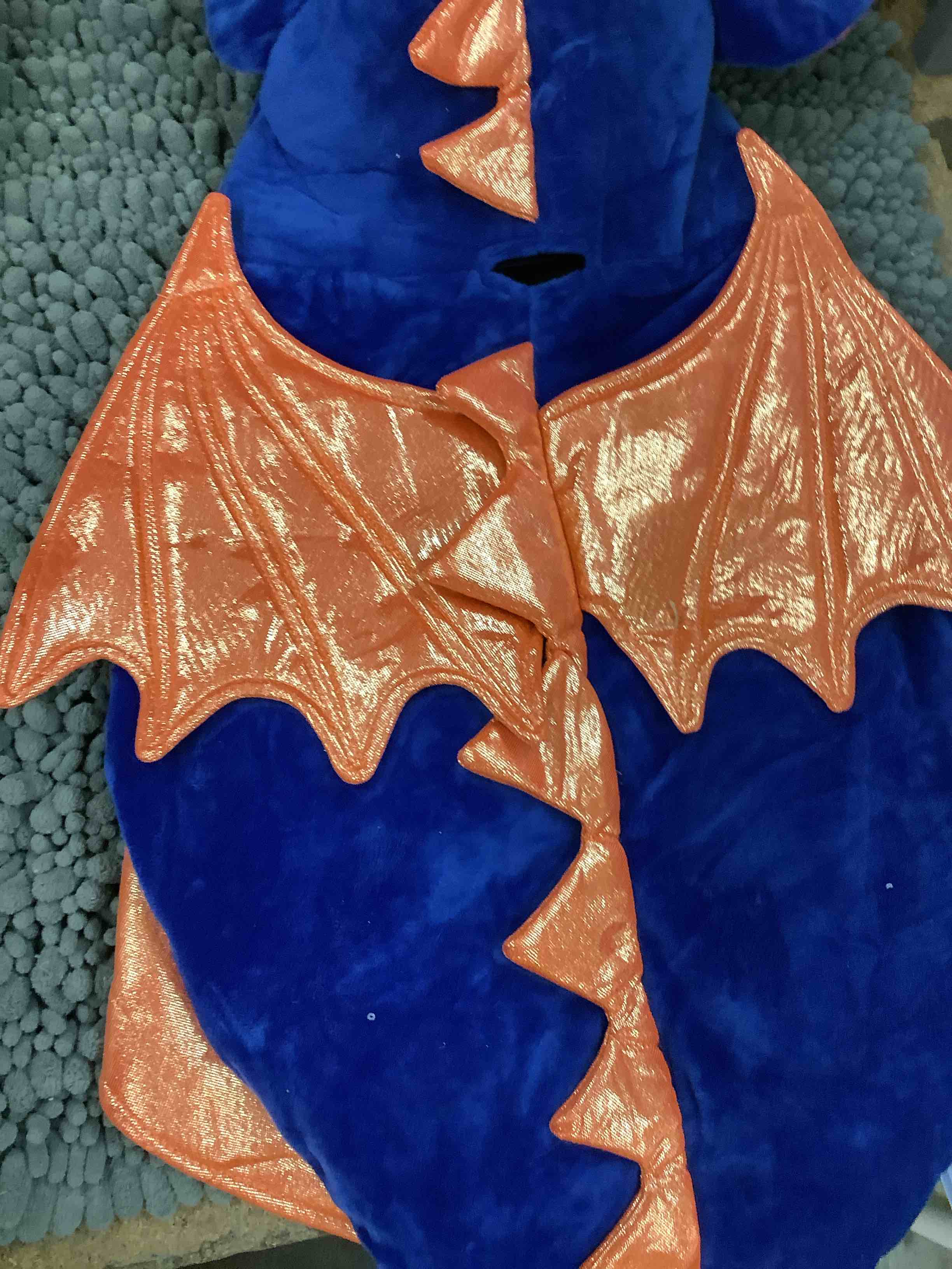 Condition photo showing Good Condition for dragon pet wear 