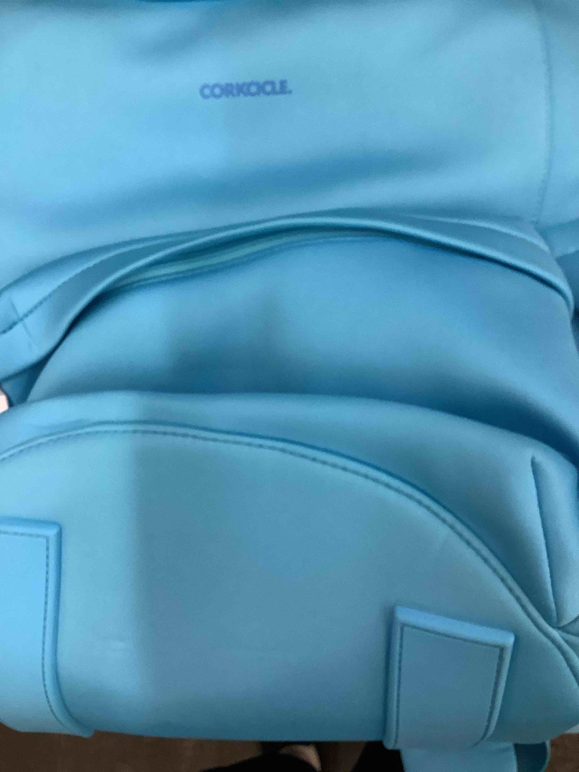 Condition photo showing Good Condition for corkcicle cooler bag 