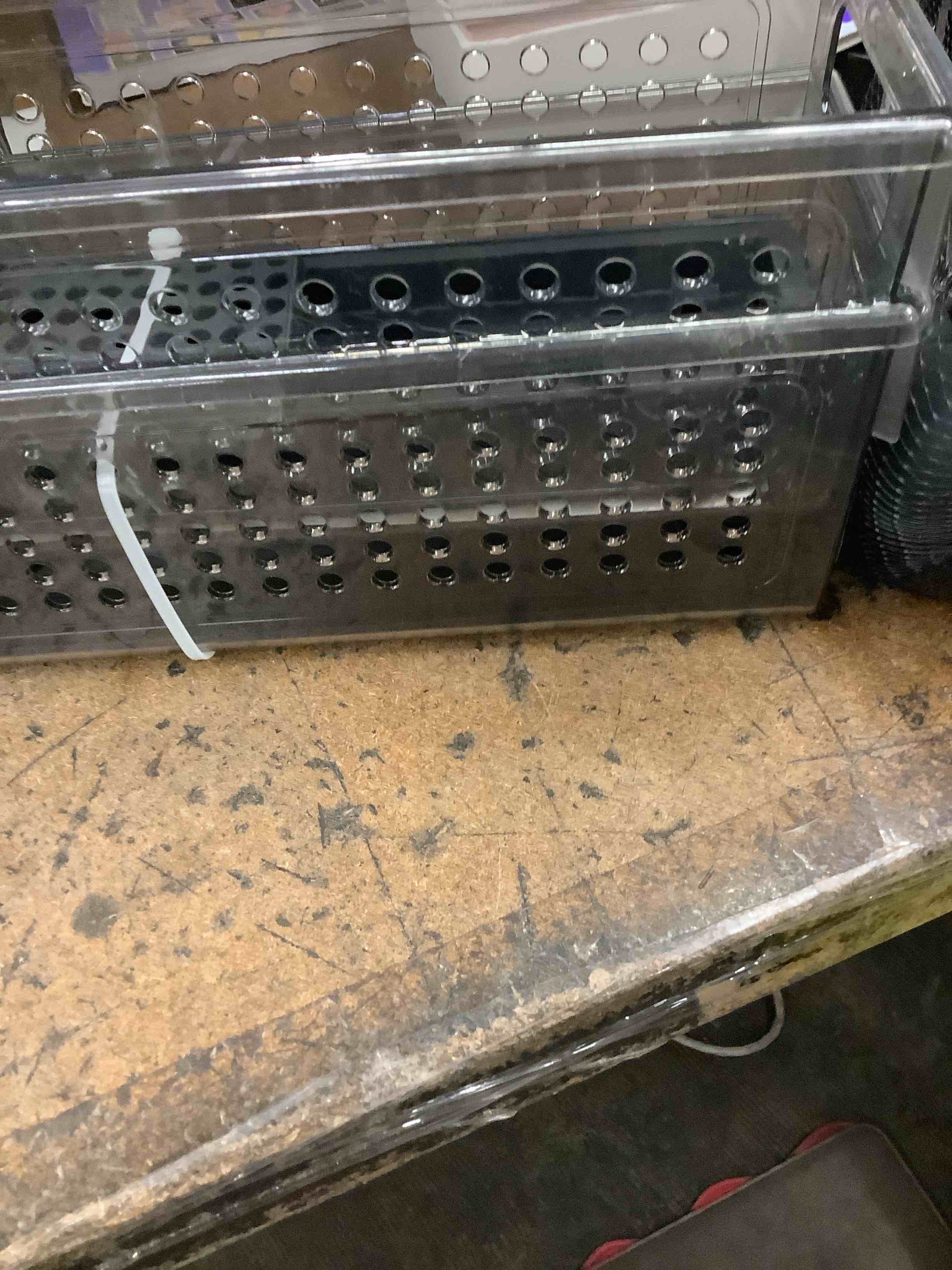Condition photo showing Good Condition for storage container 