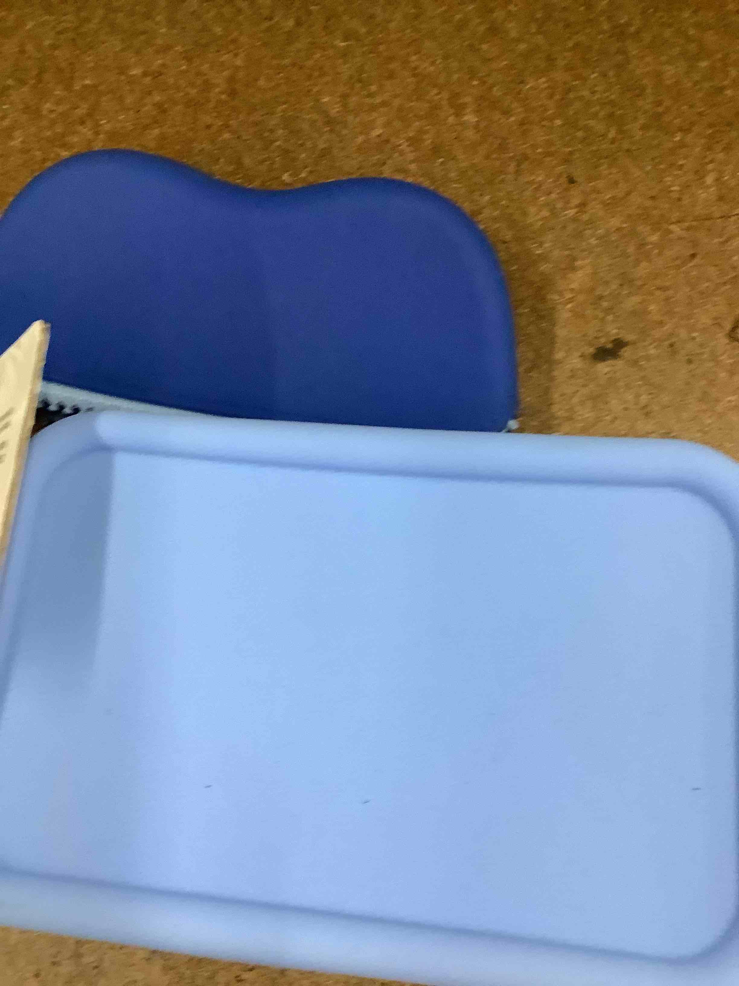 lunch bag 