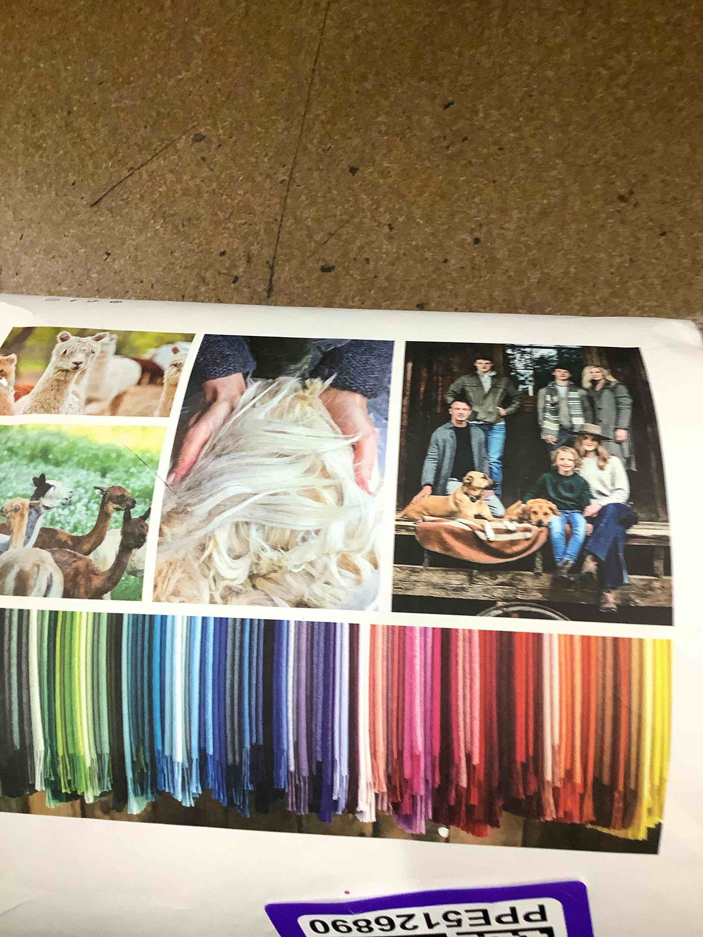Things You Didn’t Know You Needed