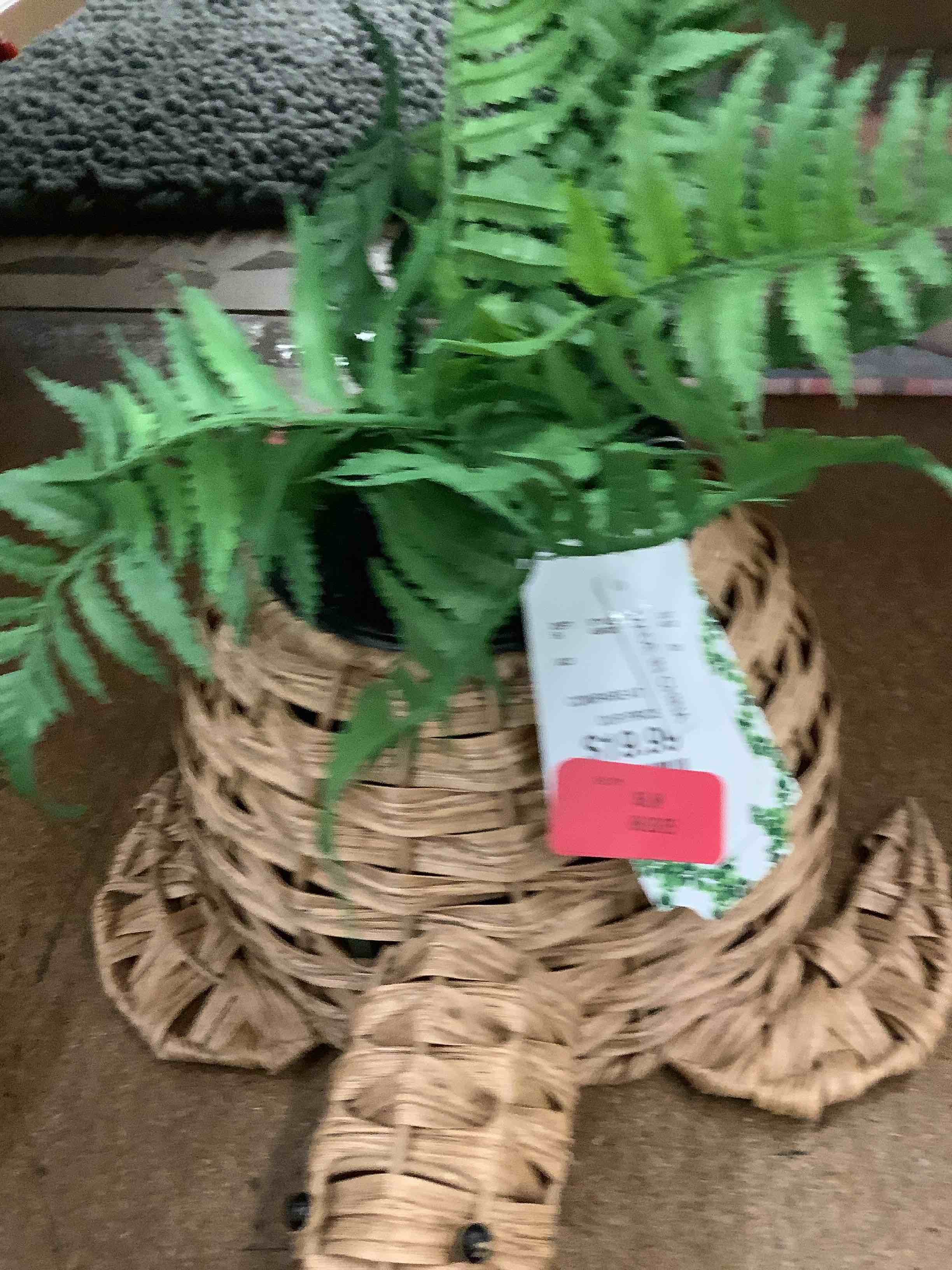 home decor