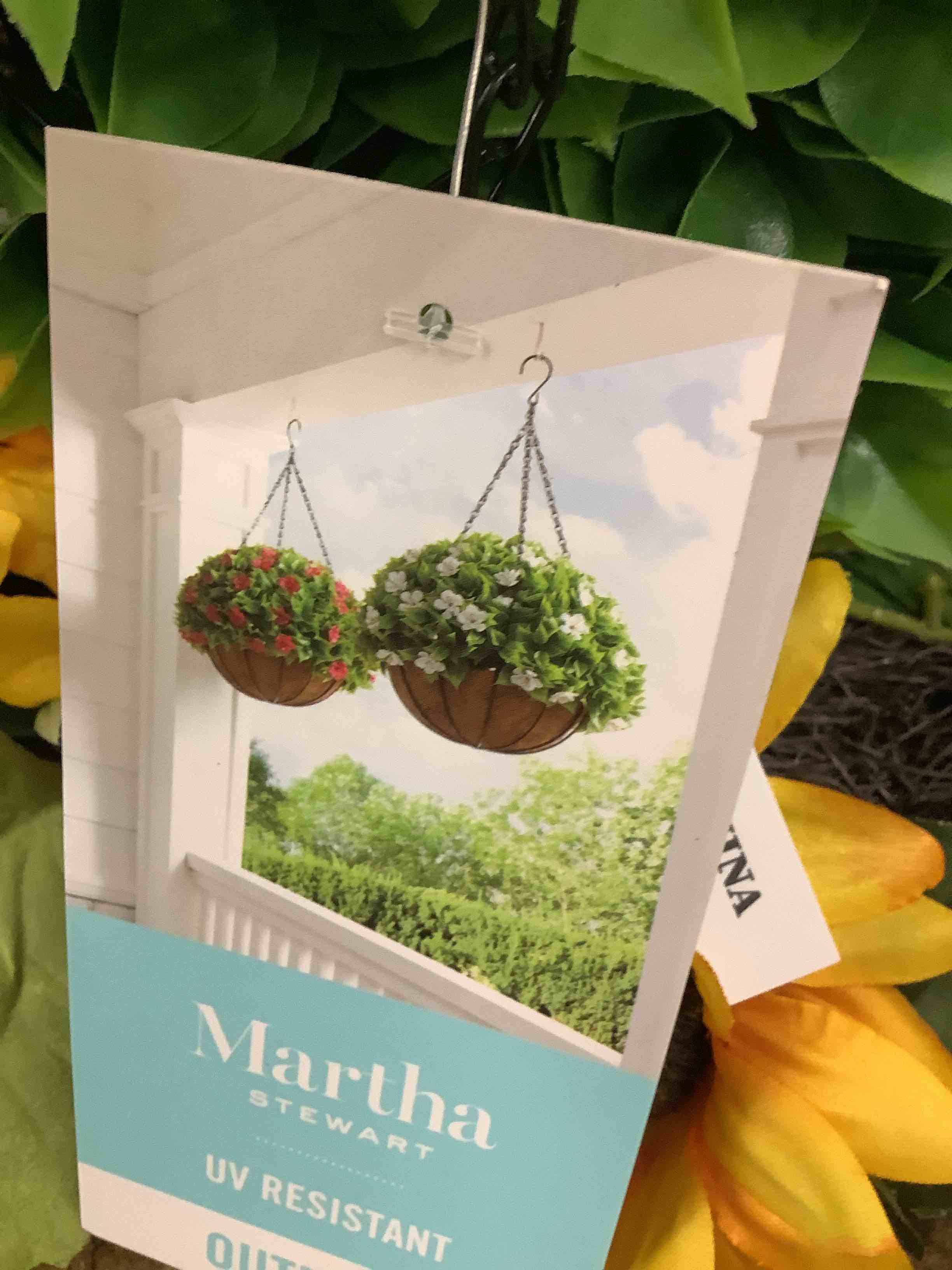 outdoor hanging plant 