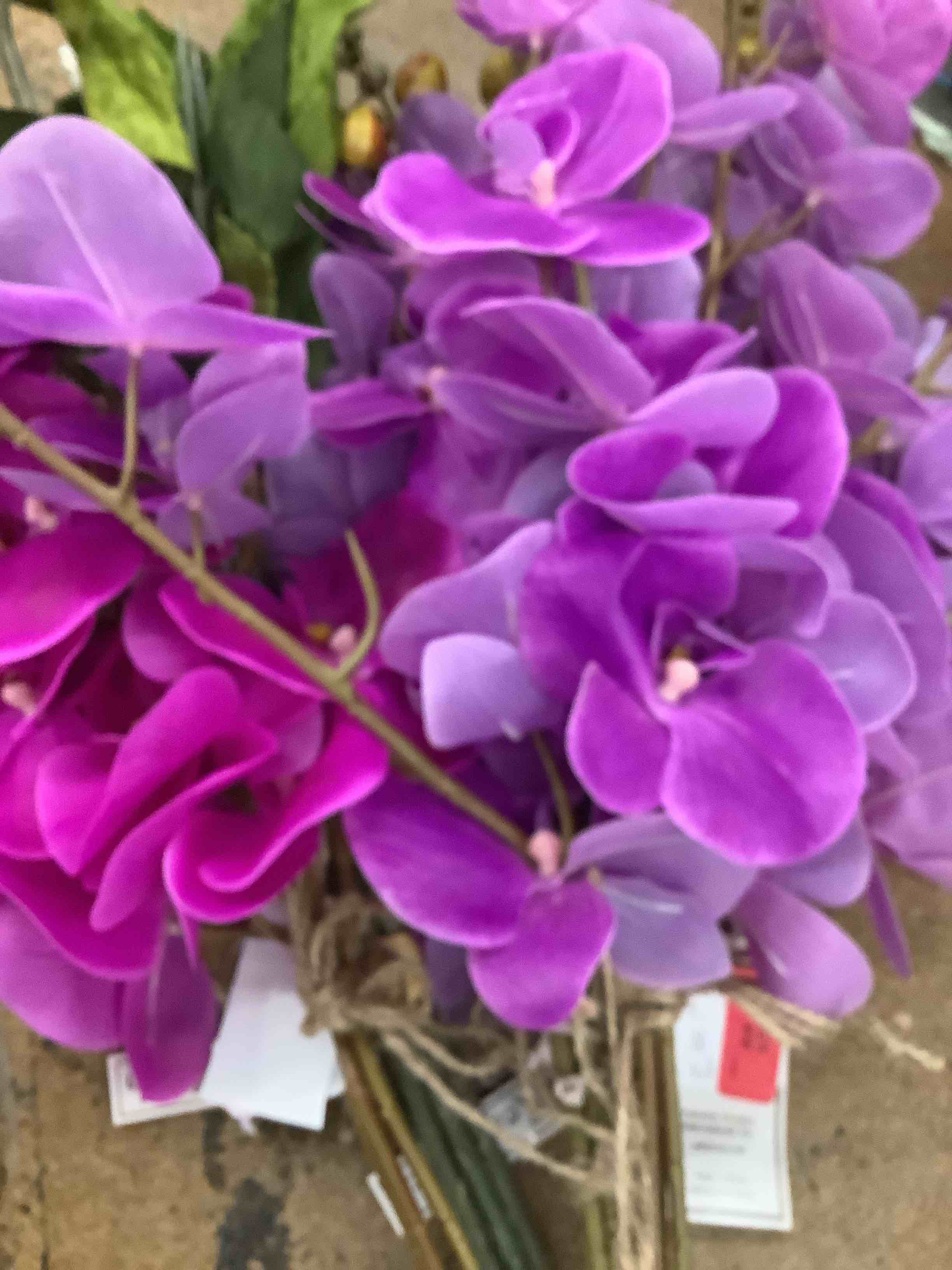 flower bundle 