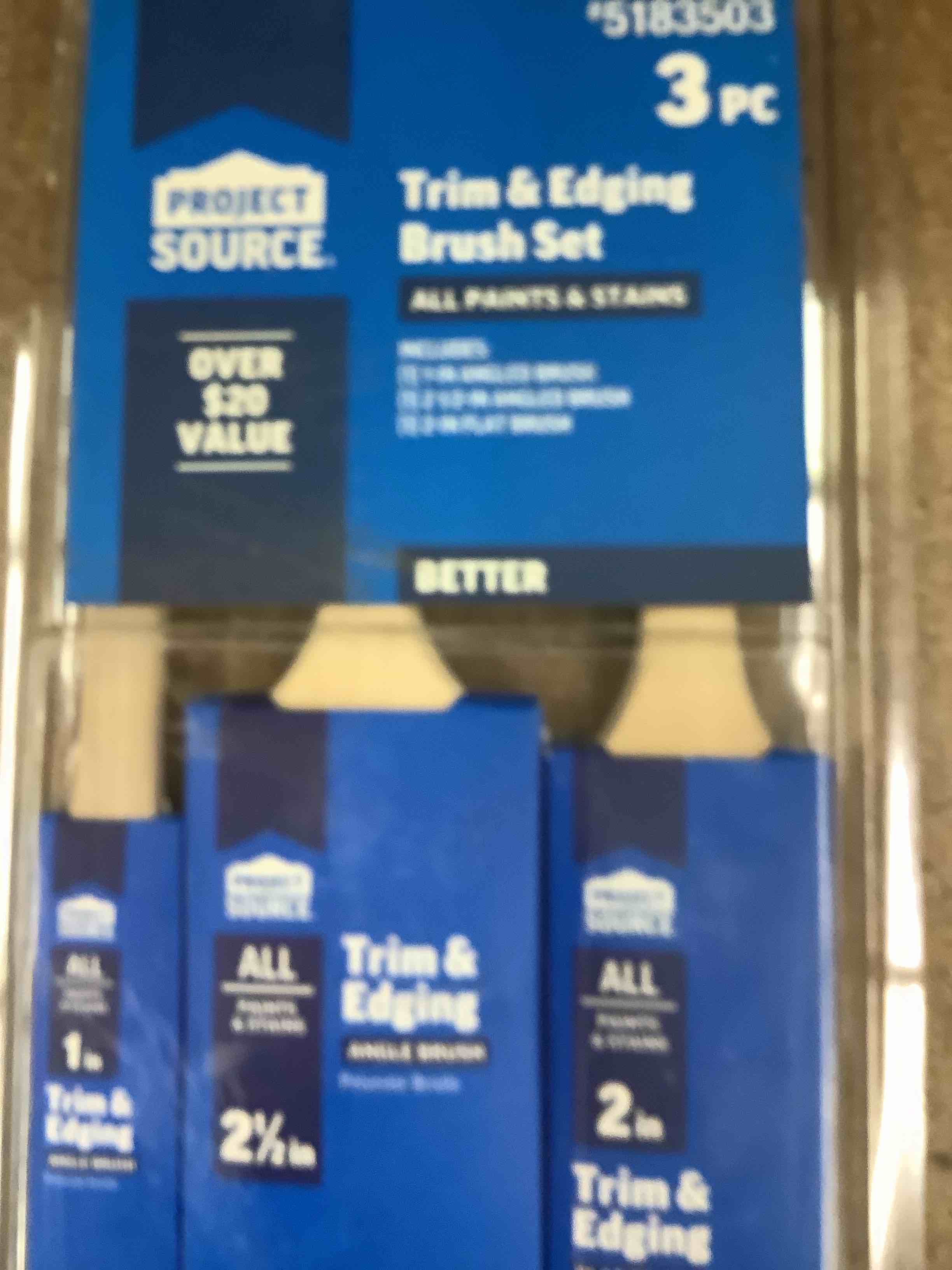 Project Source 3pcs brush set 